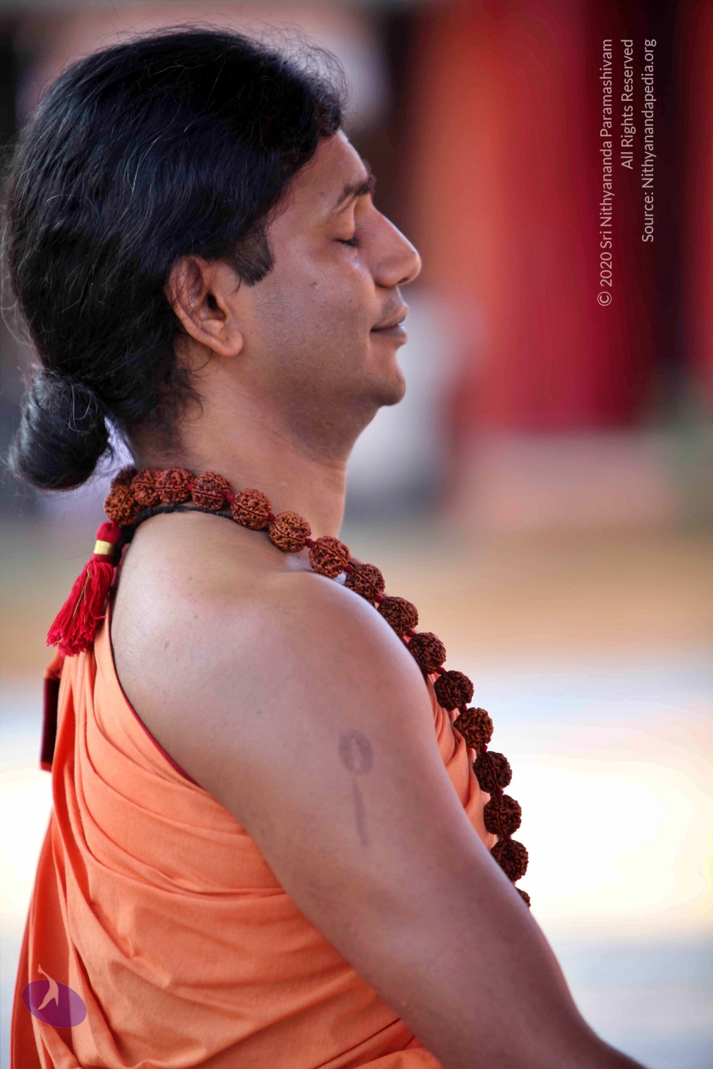 20110202_Photo_1178_IMG_3143_CMP_WM