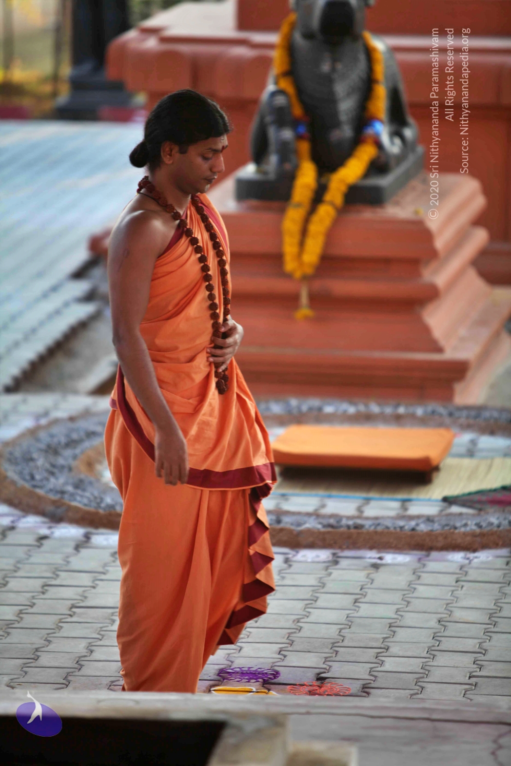 20110202_Photo_1180_IMG_3057_CMP_WM