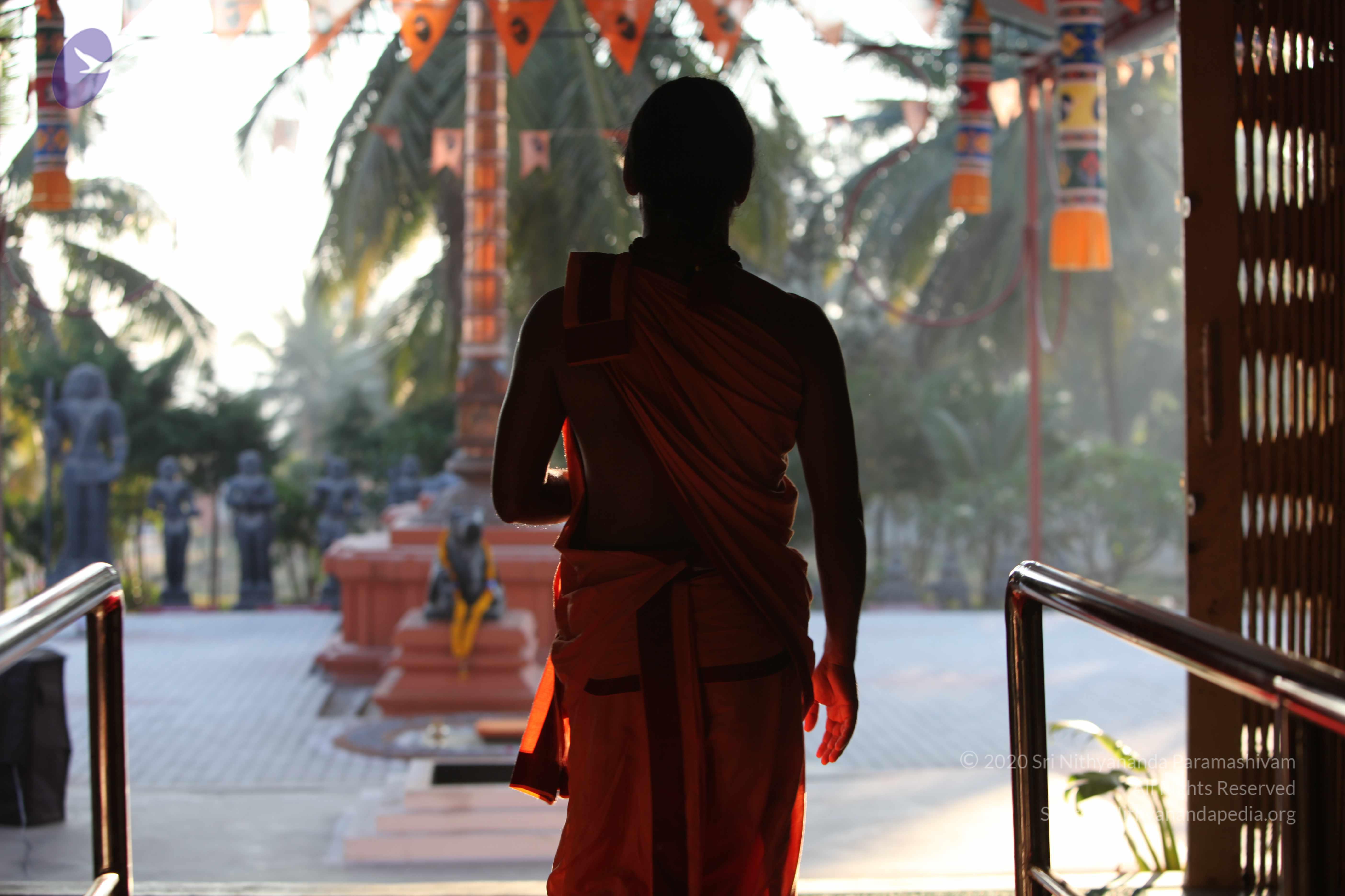 20110202_Photo_1183_IMG_3116_CMP_WM