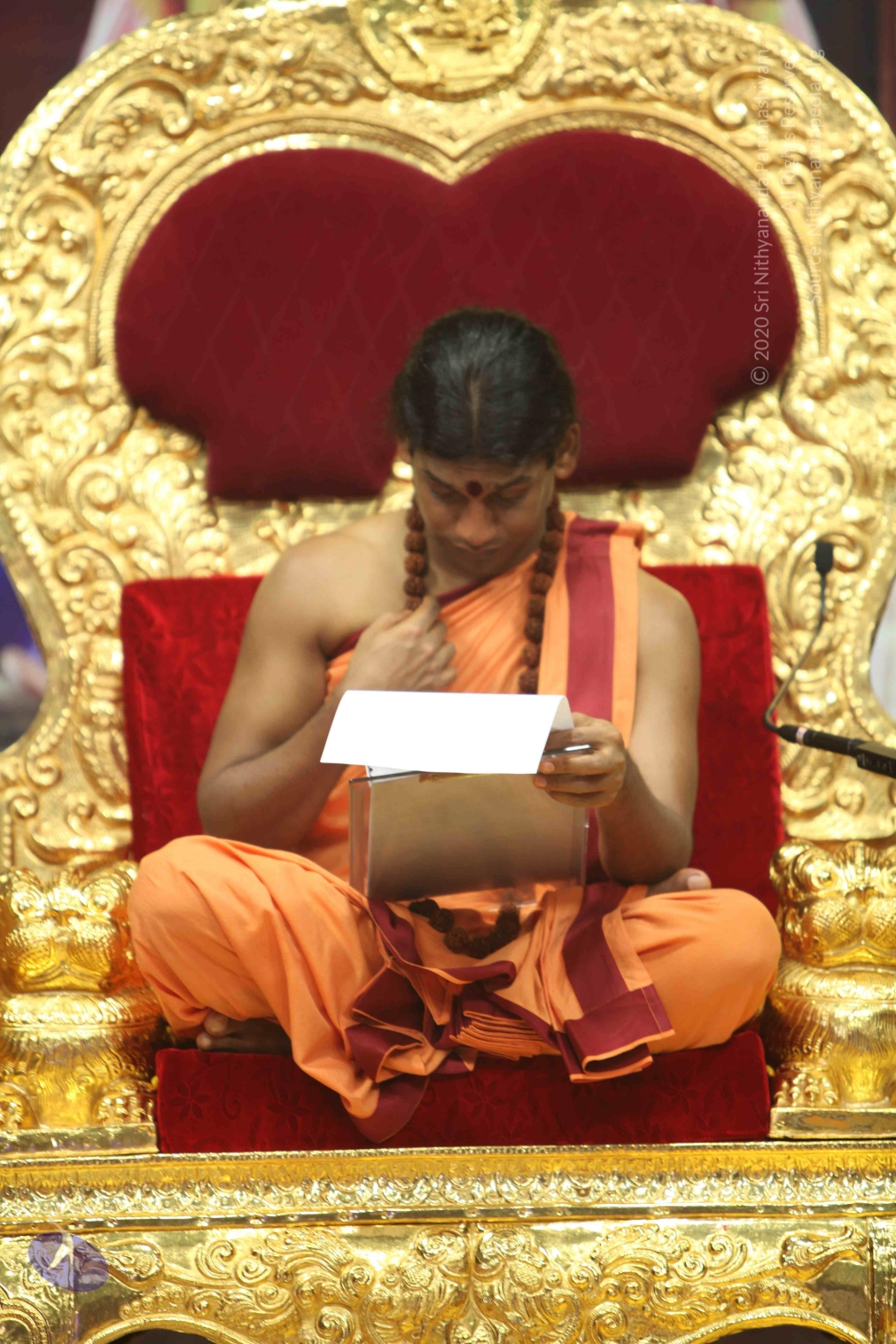 20110202_Photo_1000_IMG_3513_CMP_WM