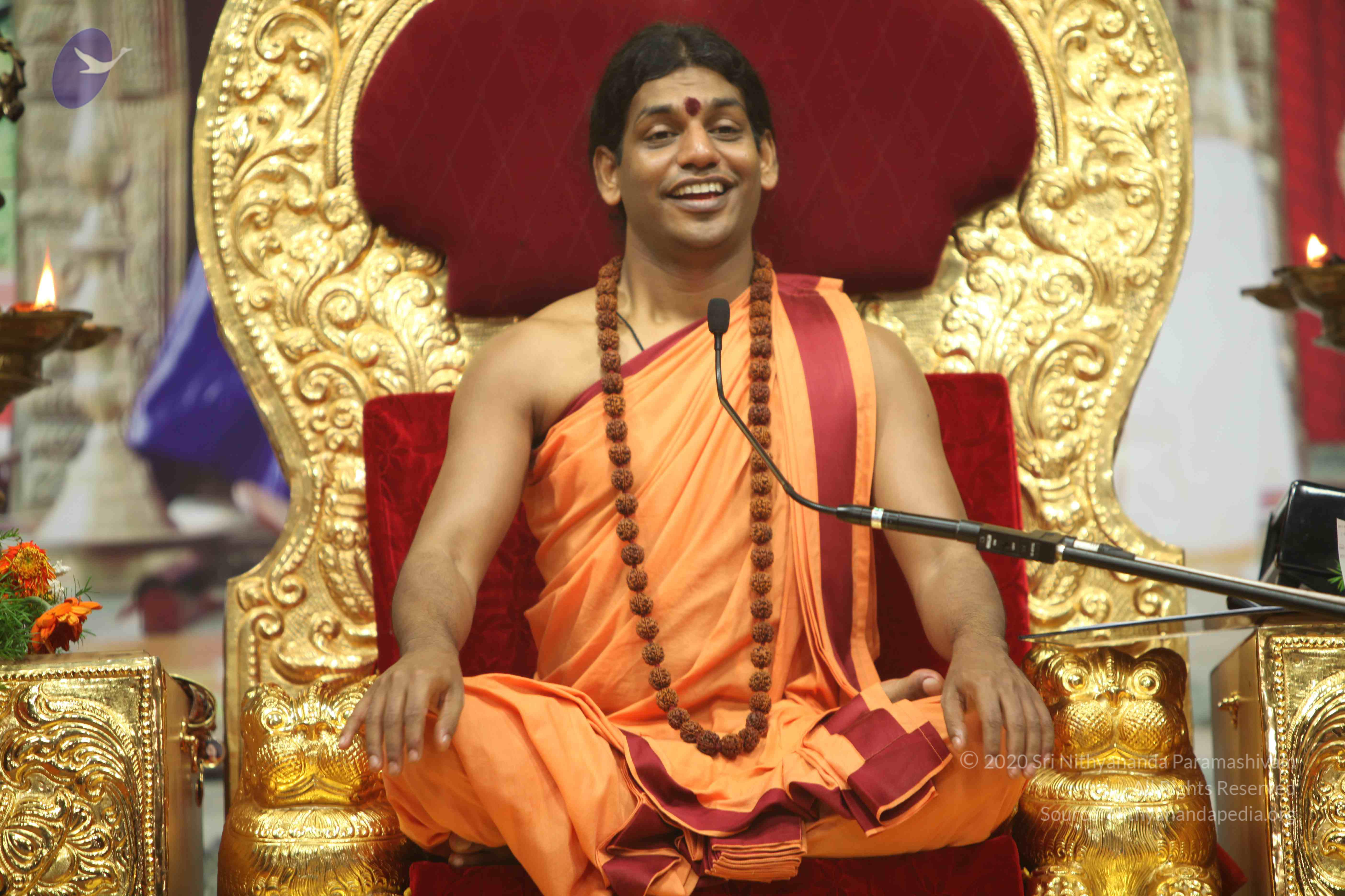 20110202_Photo_1020_IMG_3808_CMP_WM