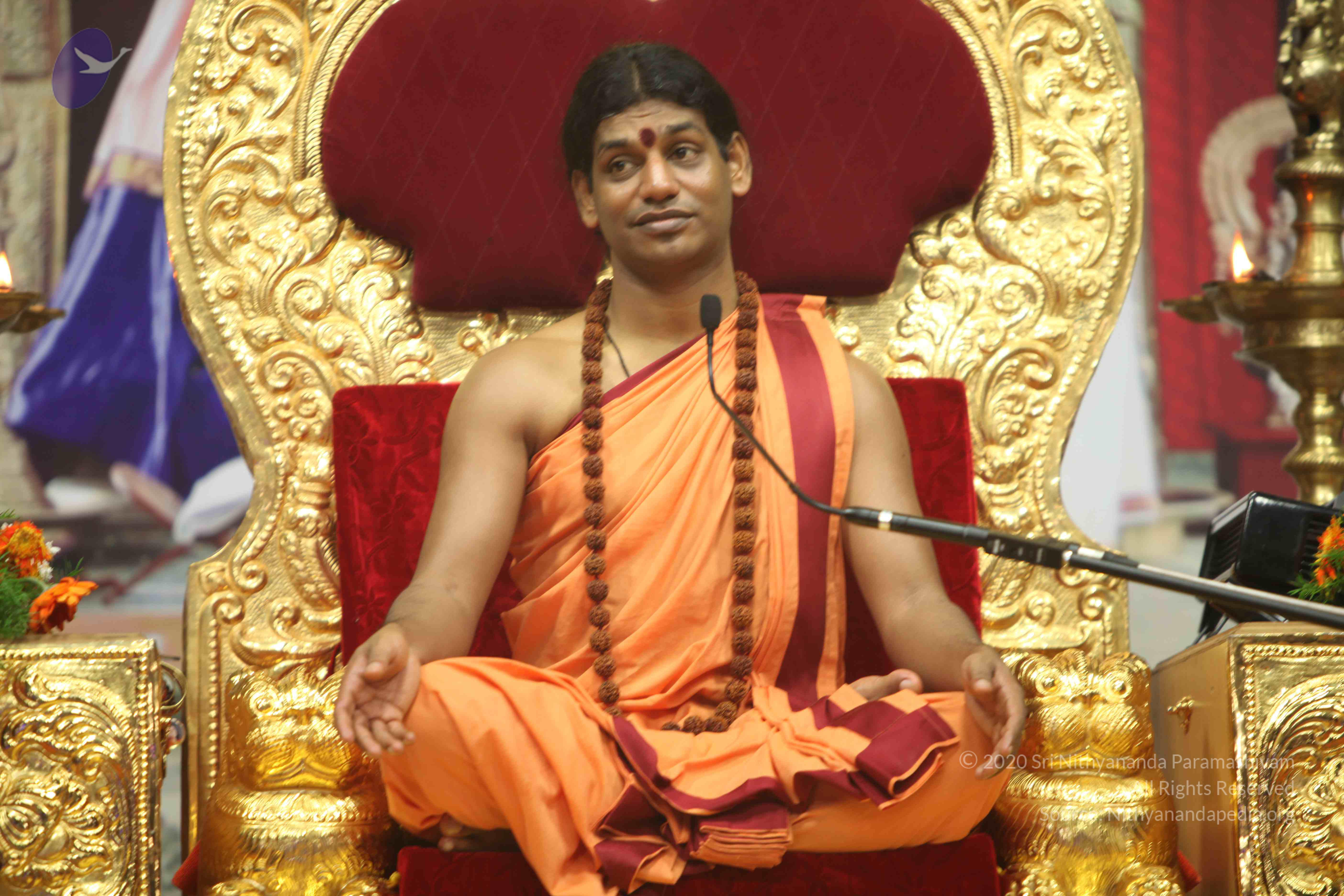 20110202_Photo_1023_IMG_3688_CMP_WM