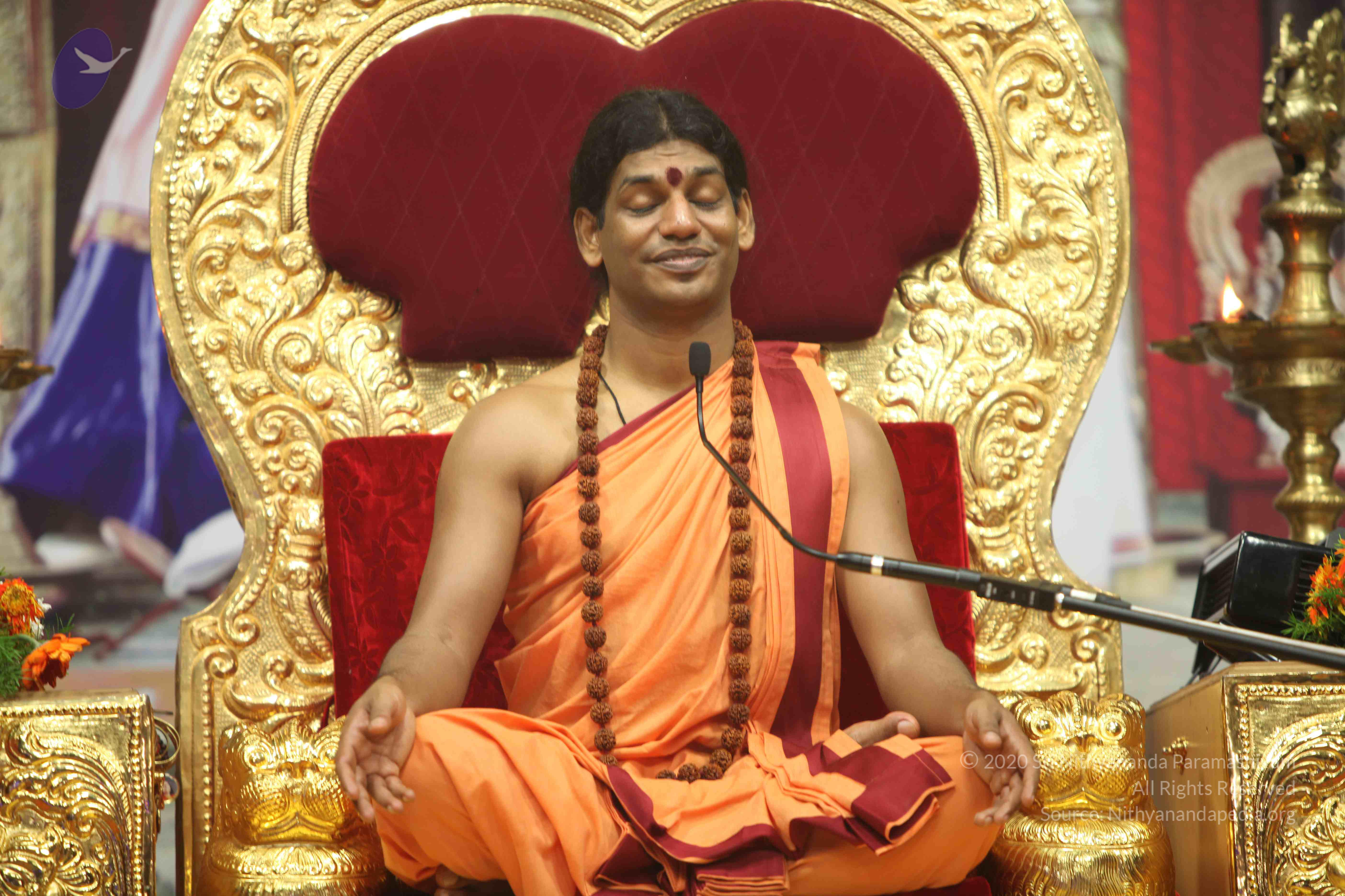 20110202_Photo_1028_IMG_3701_CMP_WM