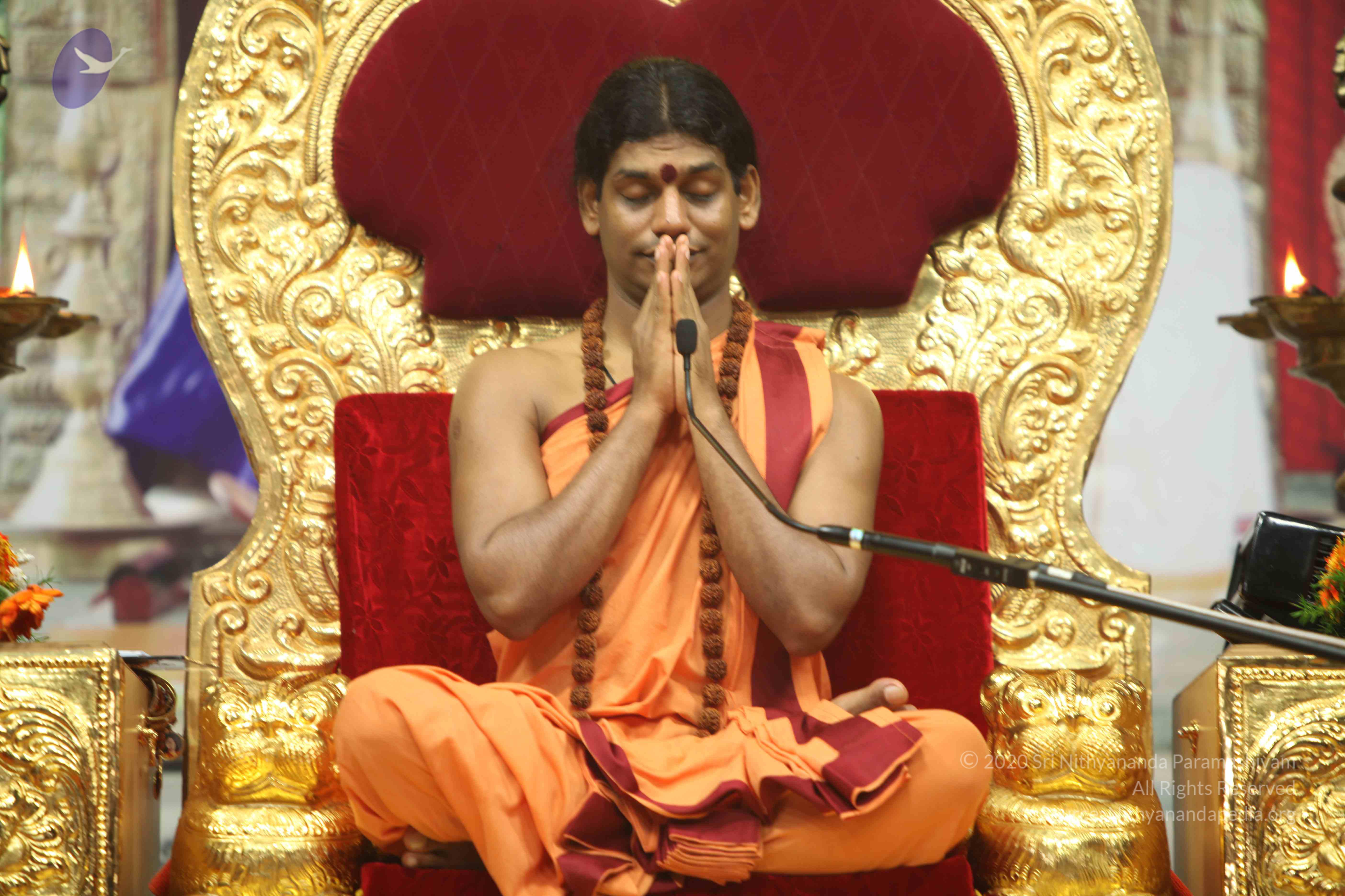 20110202_Photo_1041_IMG_3560_CMP_WM