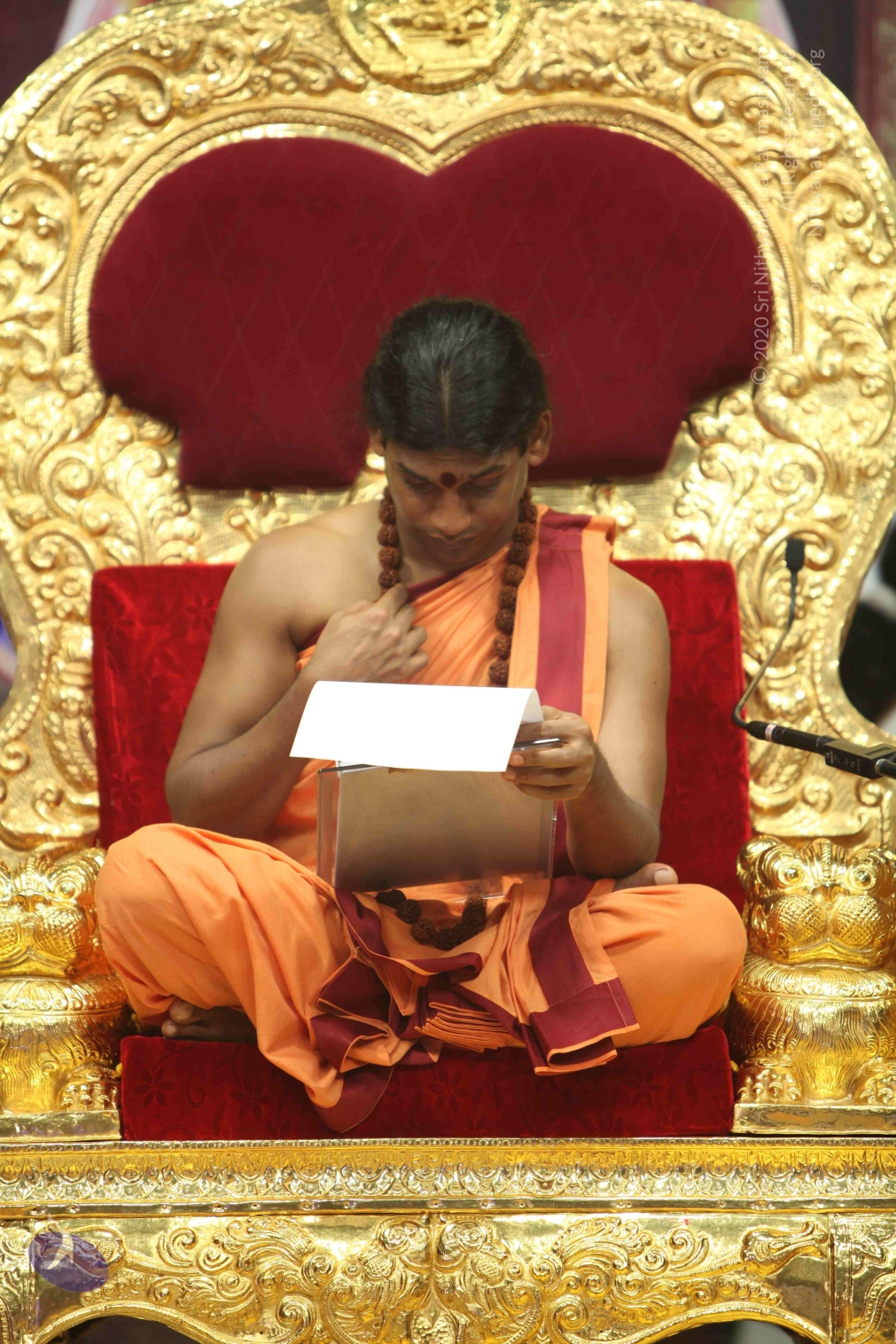 20110202_Photo_1072_IMG_3516_CMP_WM