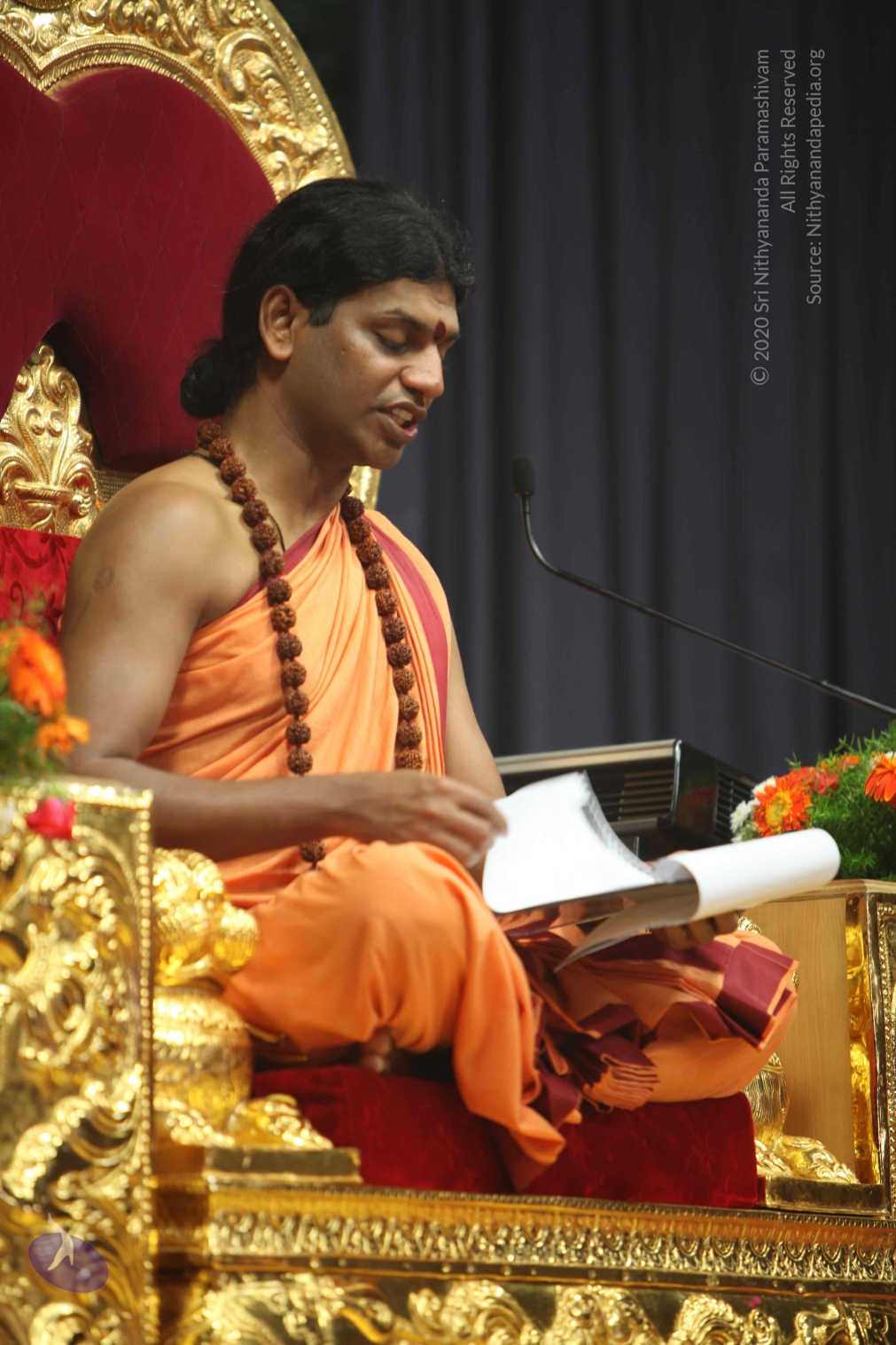 20110202_Photo_1085_IMG_3636_CMP_WM