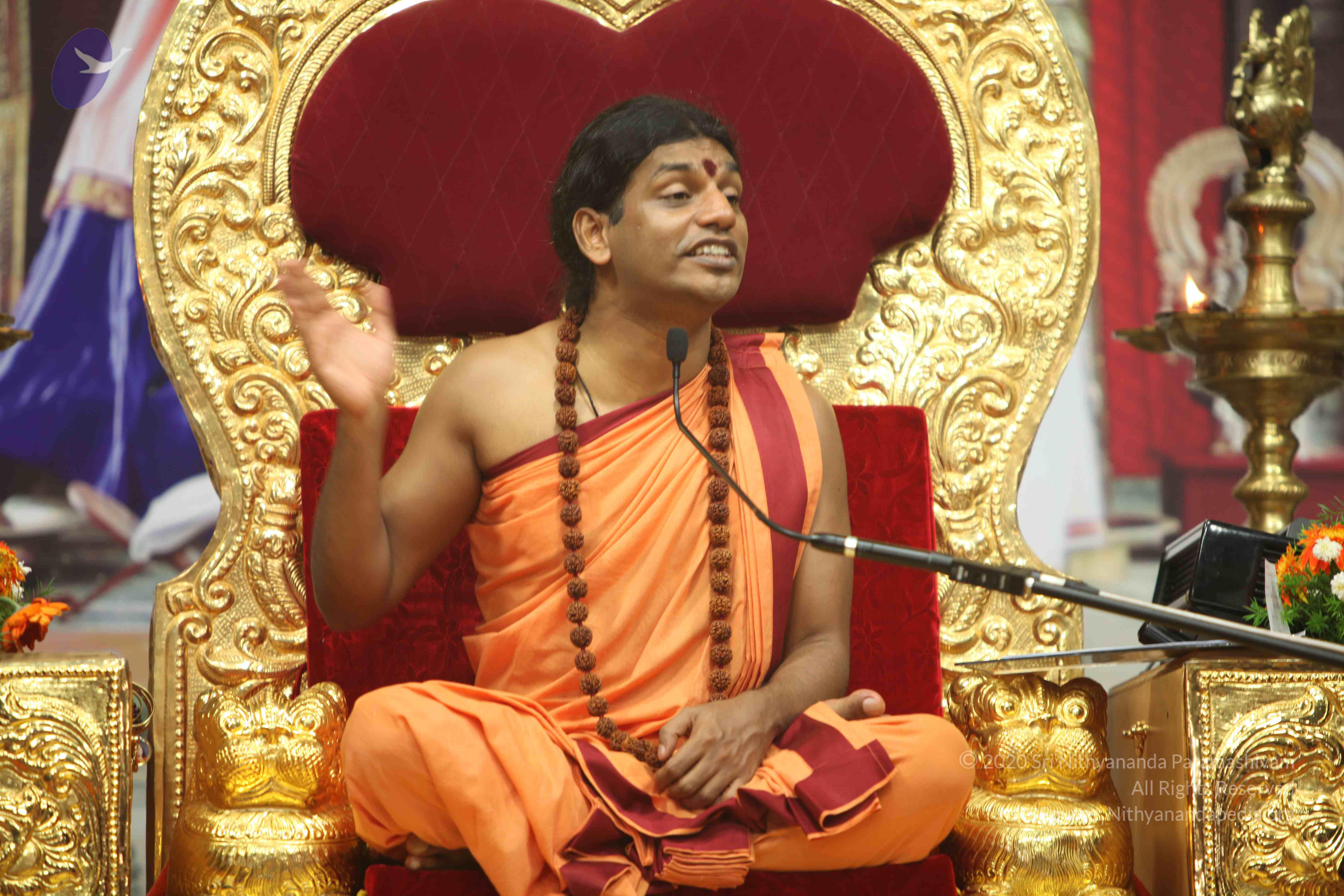 20110202_Photo_1090_IMG_3747_CMP_WM