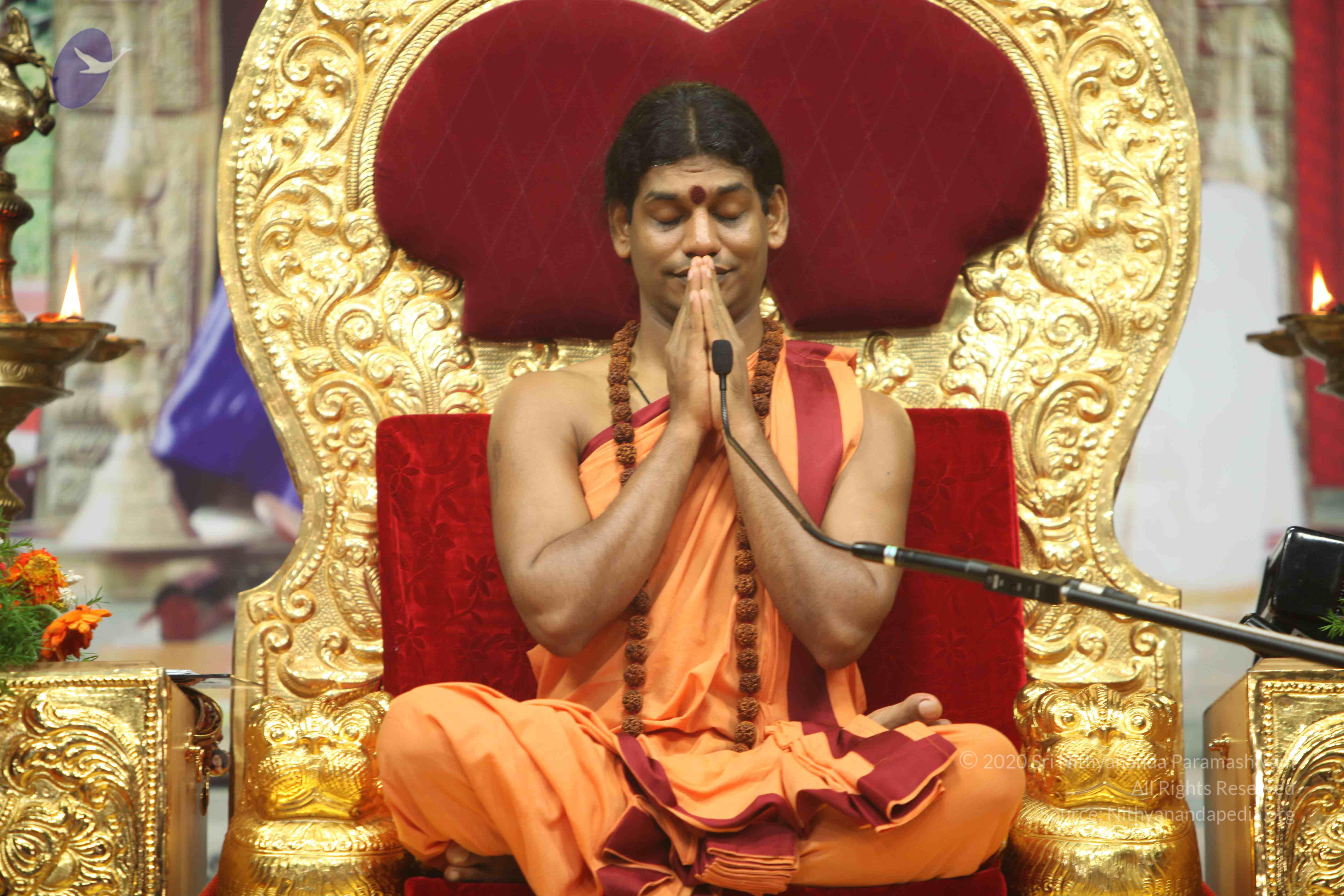 20110202_Photo_1095_IMG_3558_CMP_WM