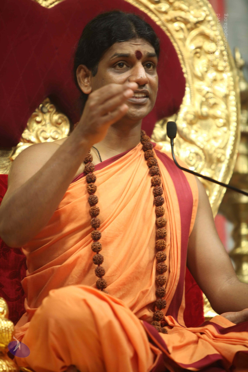 20110202_Photo_1099_IMG_3678_CMP_WM