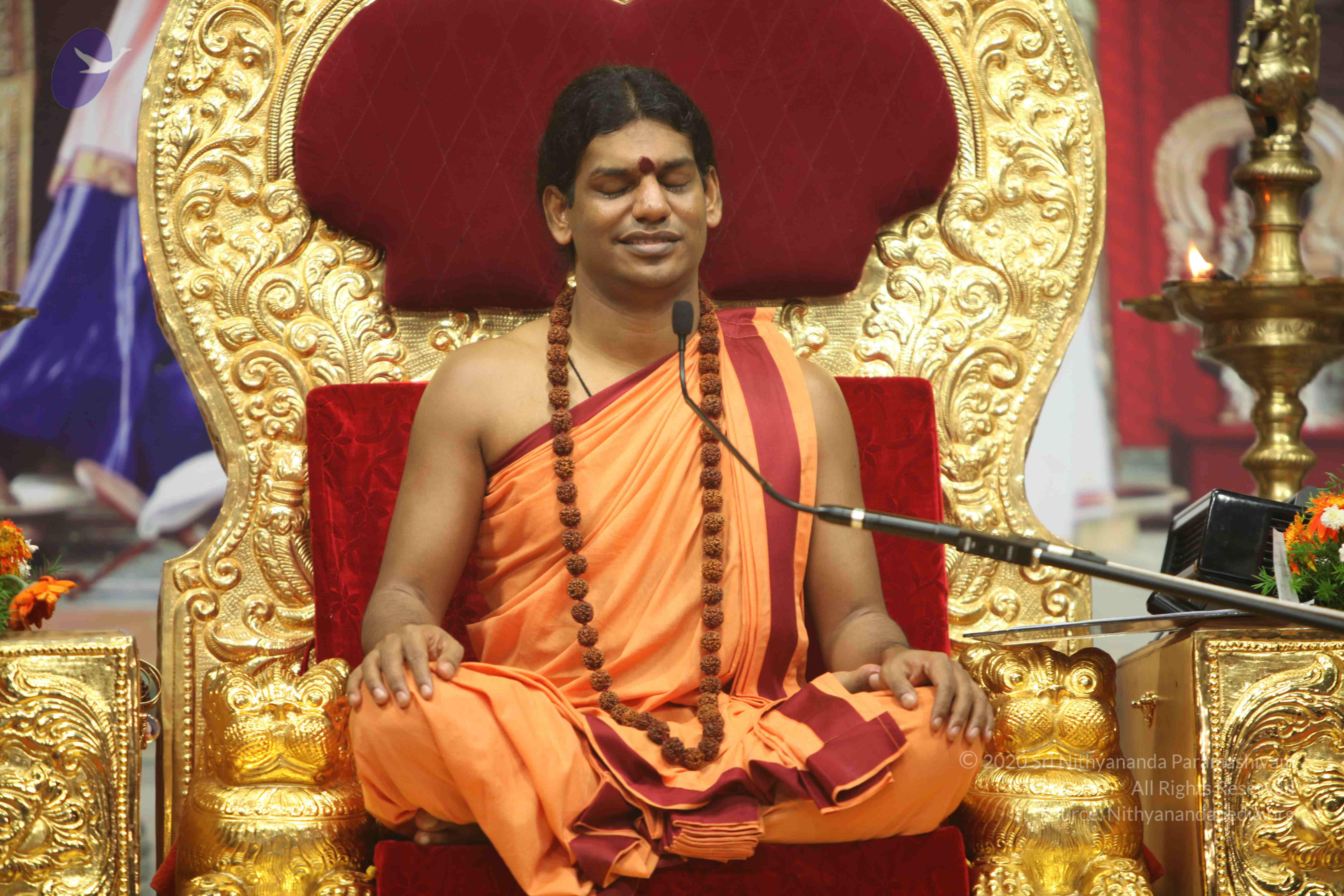 20110202_Photo_1102_IMG_3739_CMP_WM