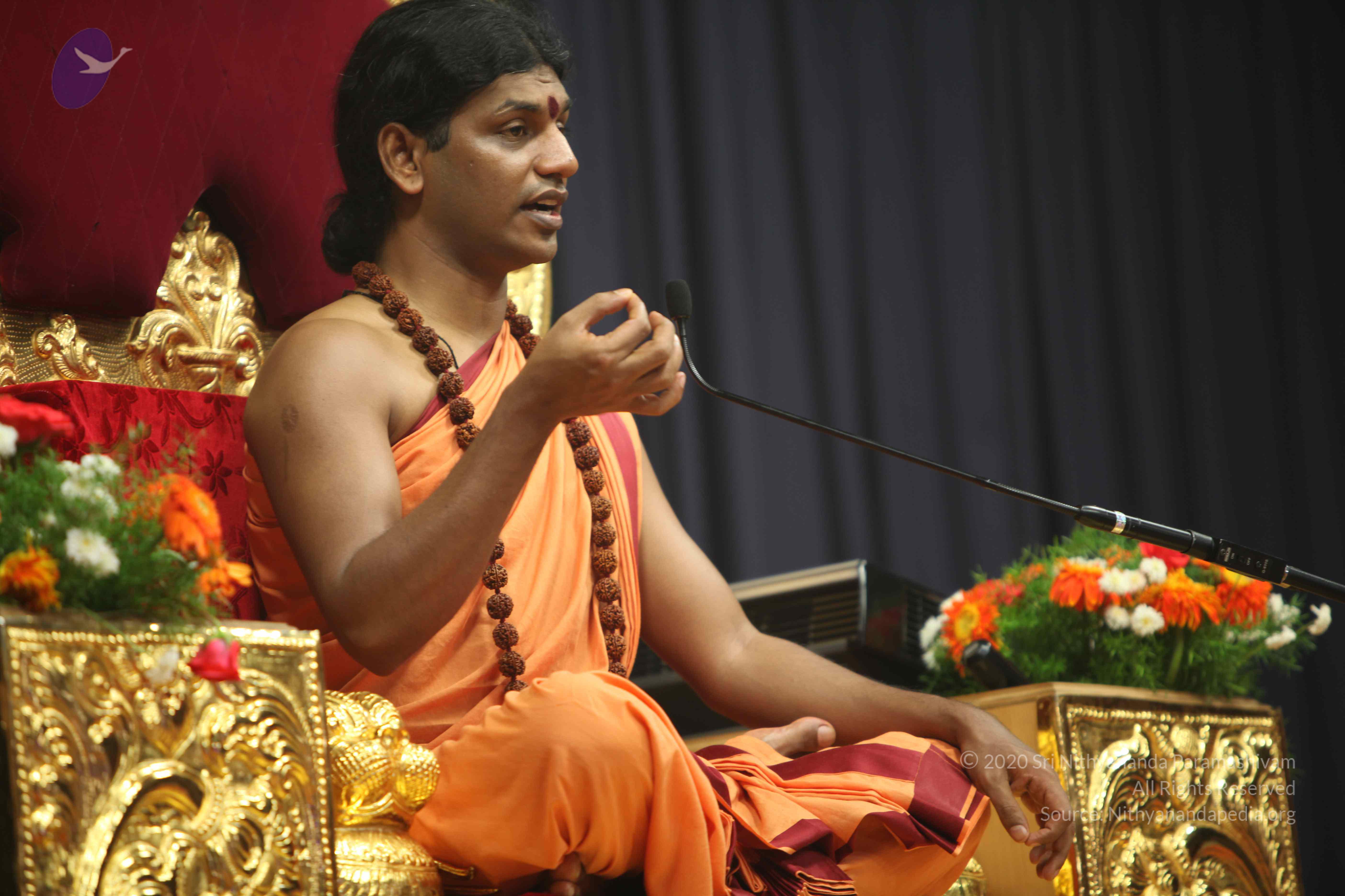 20110202_Photo_1130_IMG_3639_CMP_WM