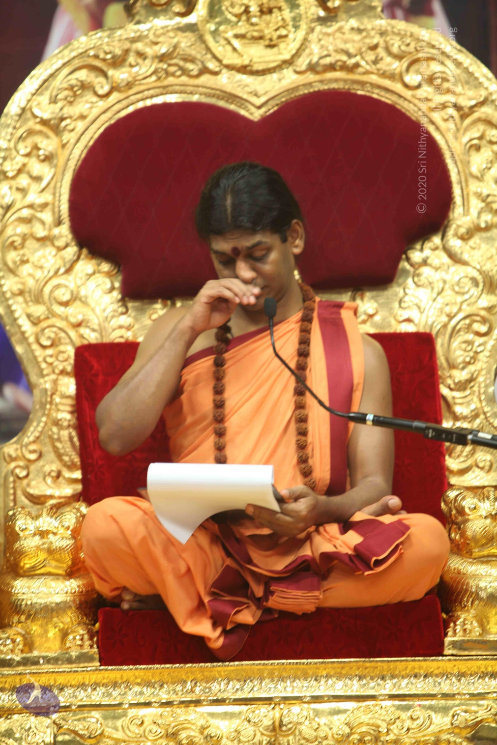 20110202_Photo_1131_IMG_3550_CMP_WM