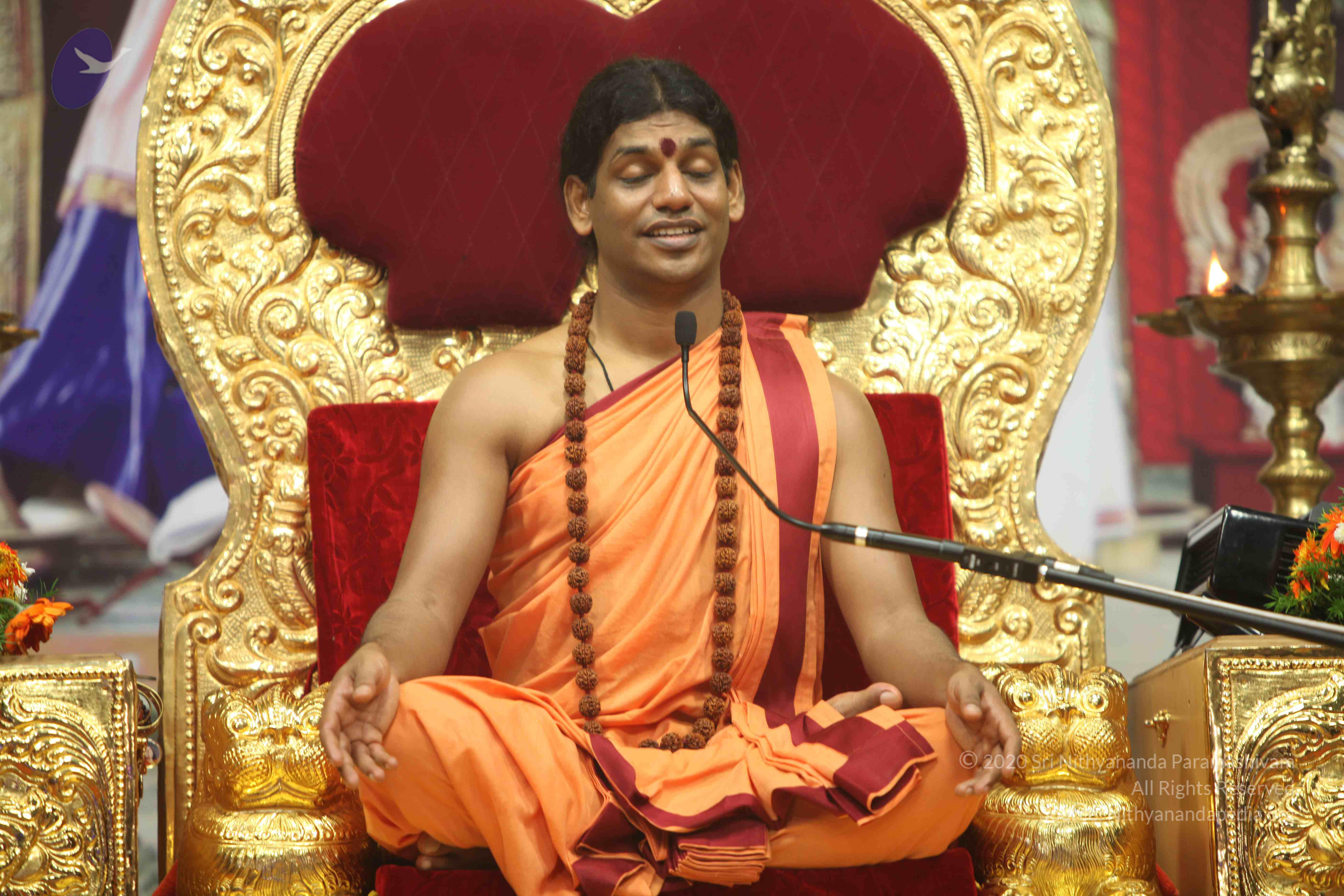 20110202_Photo_1141_IMG_3706_CMP_WM