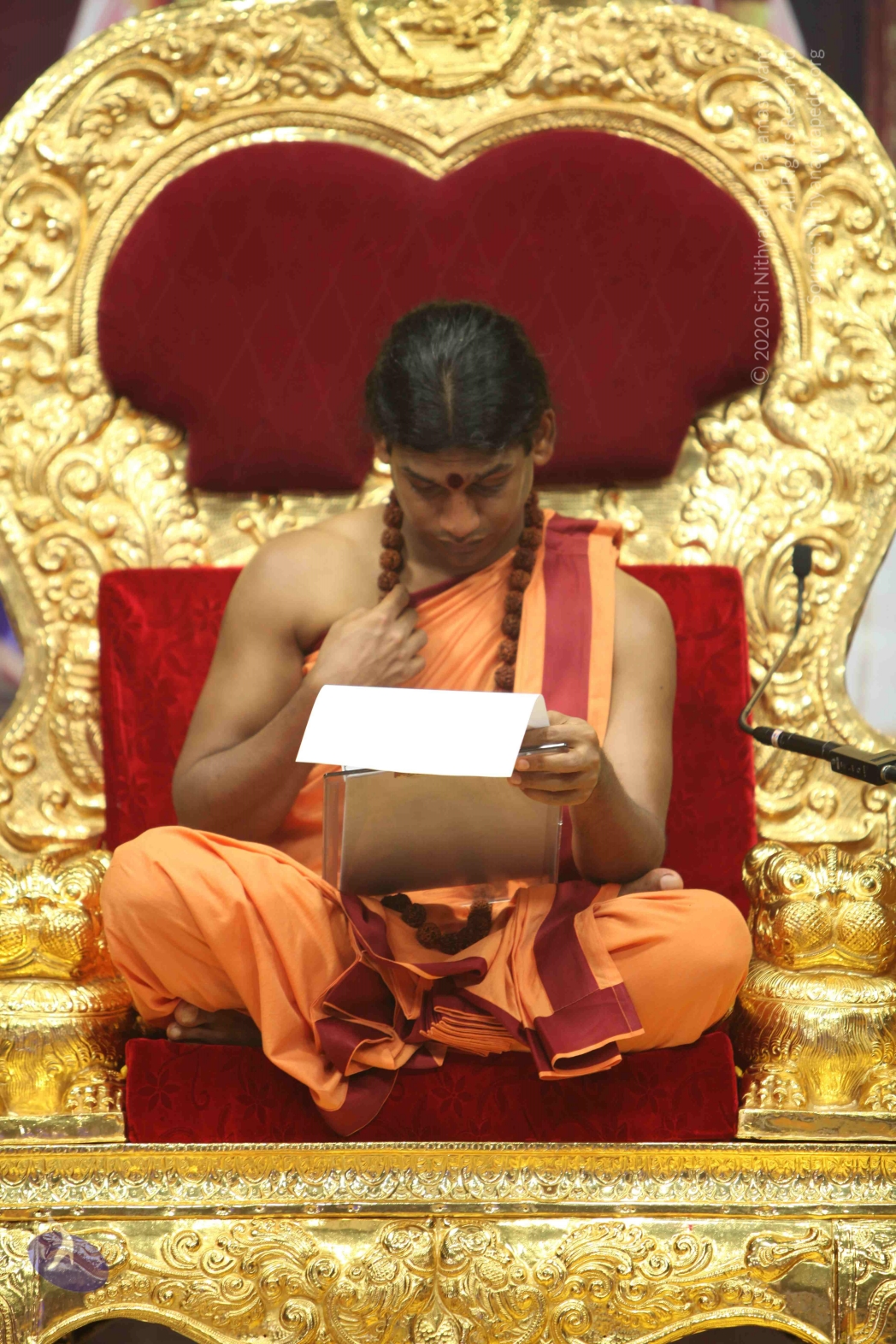 20110202_Photo_1146_IMG_3519_CMP_WM