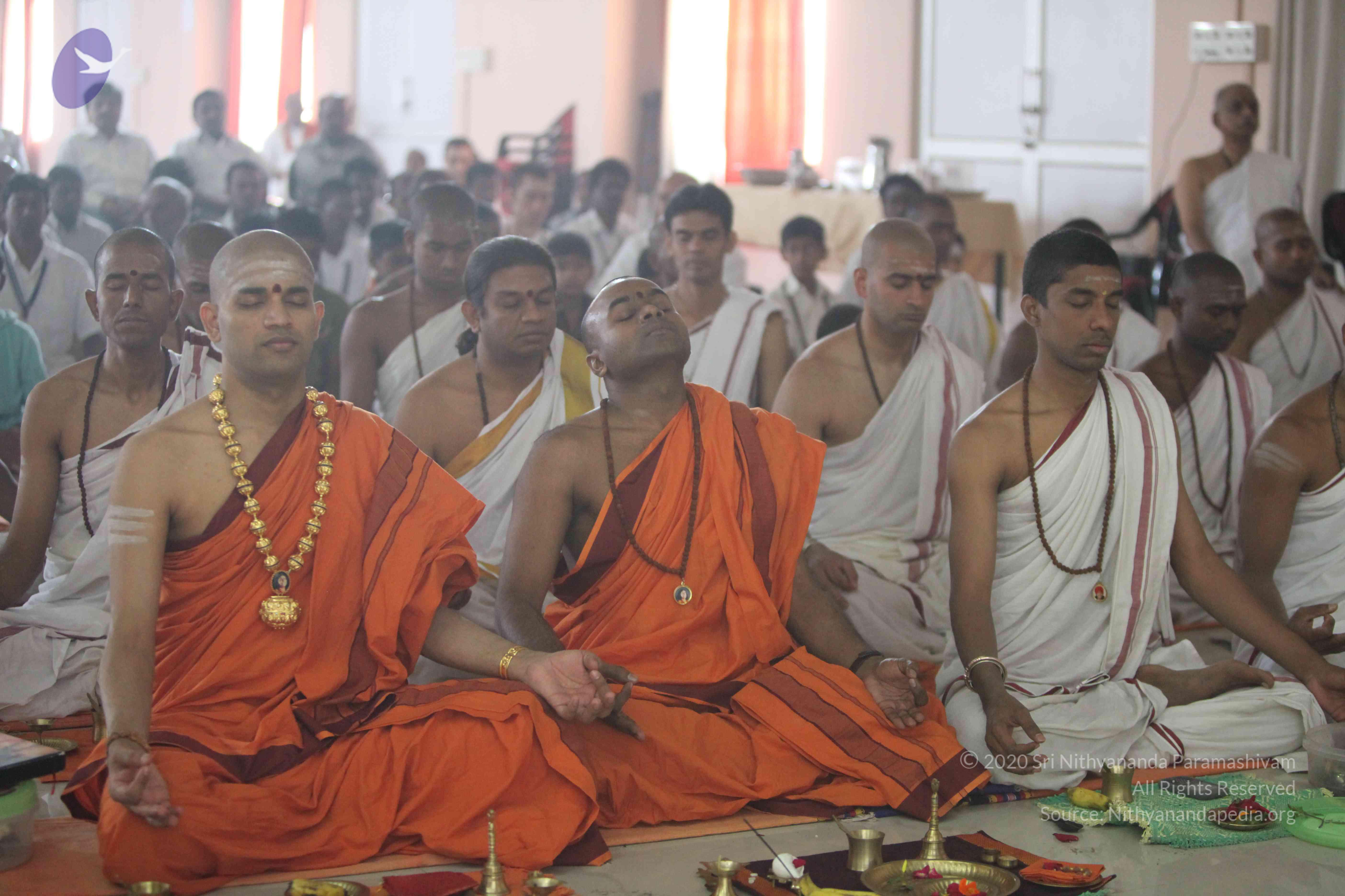 20110202_Photo_1150_IMG_3829_CMP_WM