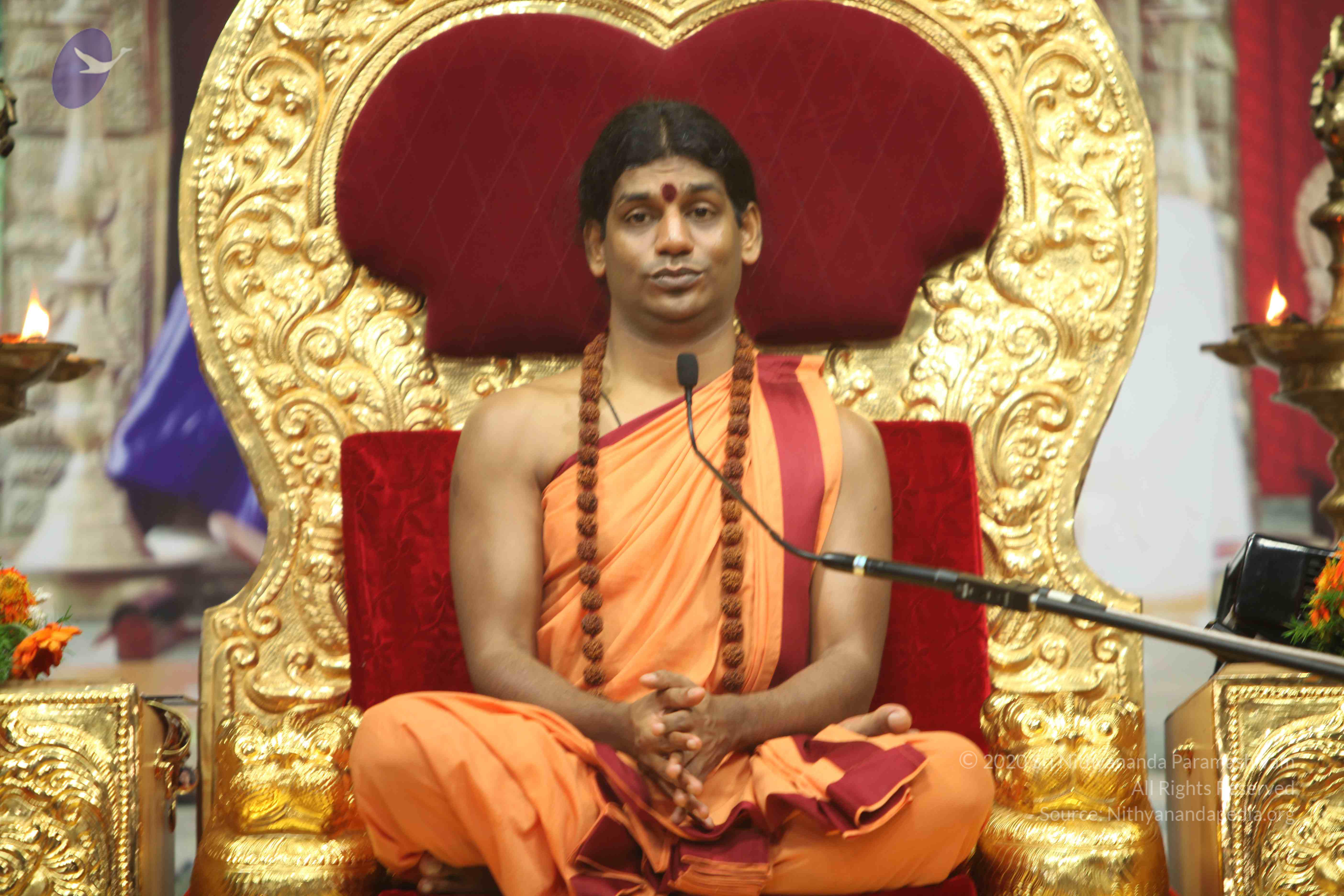 20110202_Photo_1169_IMG_3523_CMP_WM