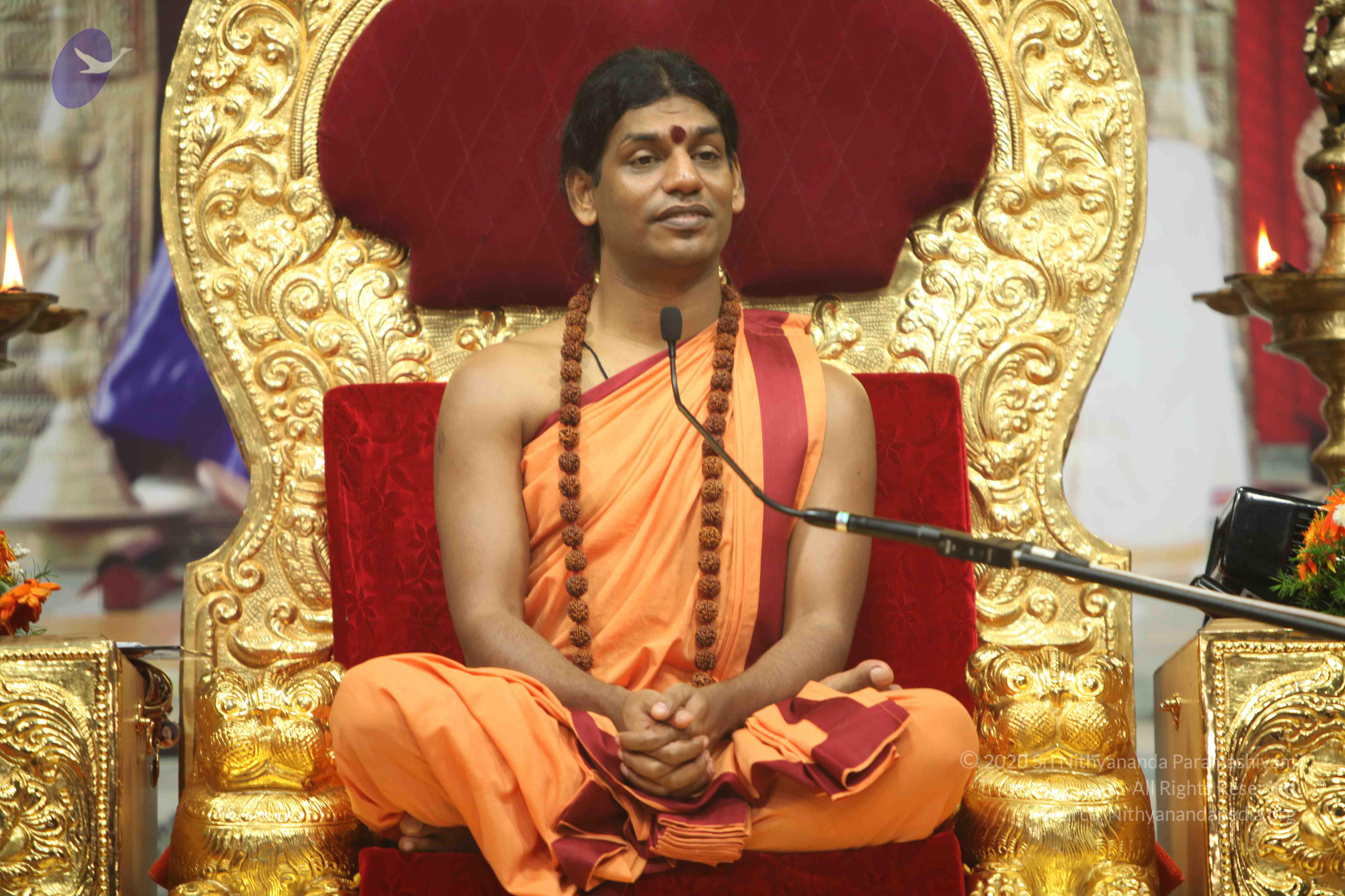 20110202_Photo_1176_IMG_3578_CMP_WM