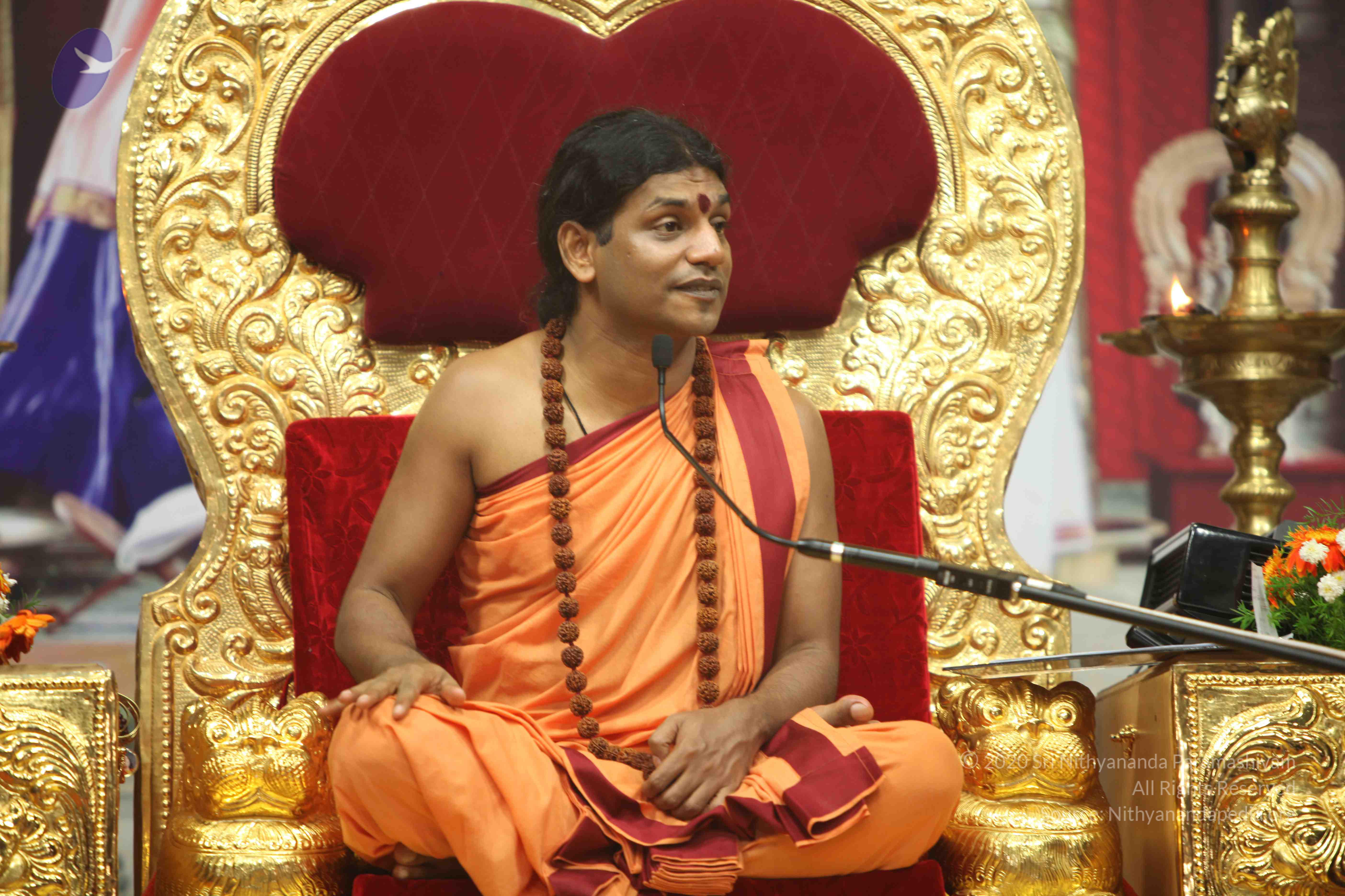 20110202_Photo_1180_IMG_3750_CMP_WM