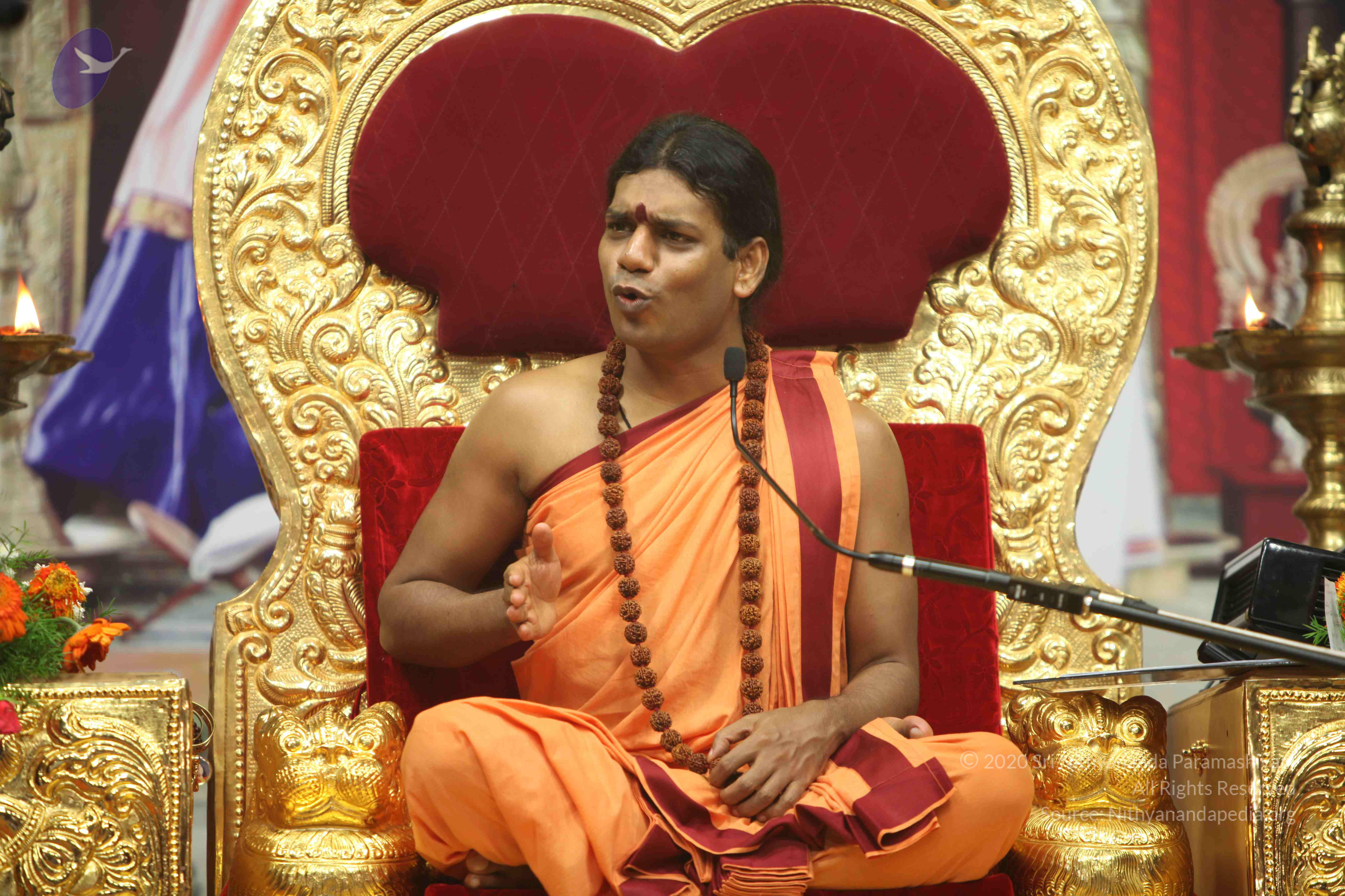 20110202_Photo_1181_IMG_3767_CMP_WM