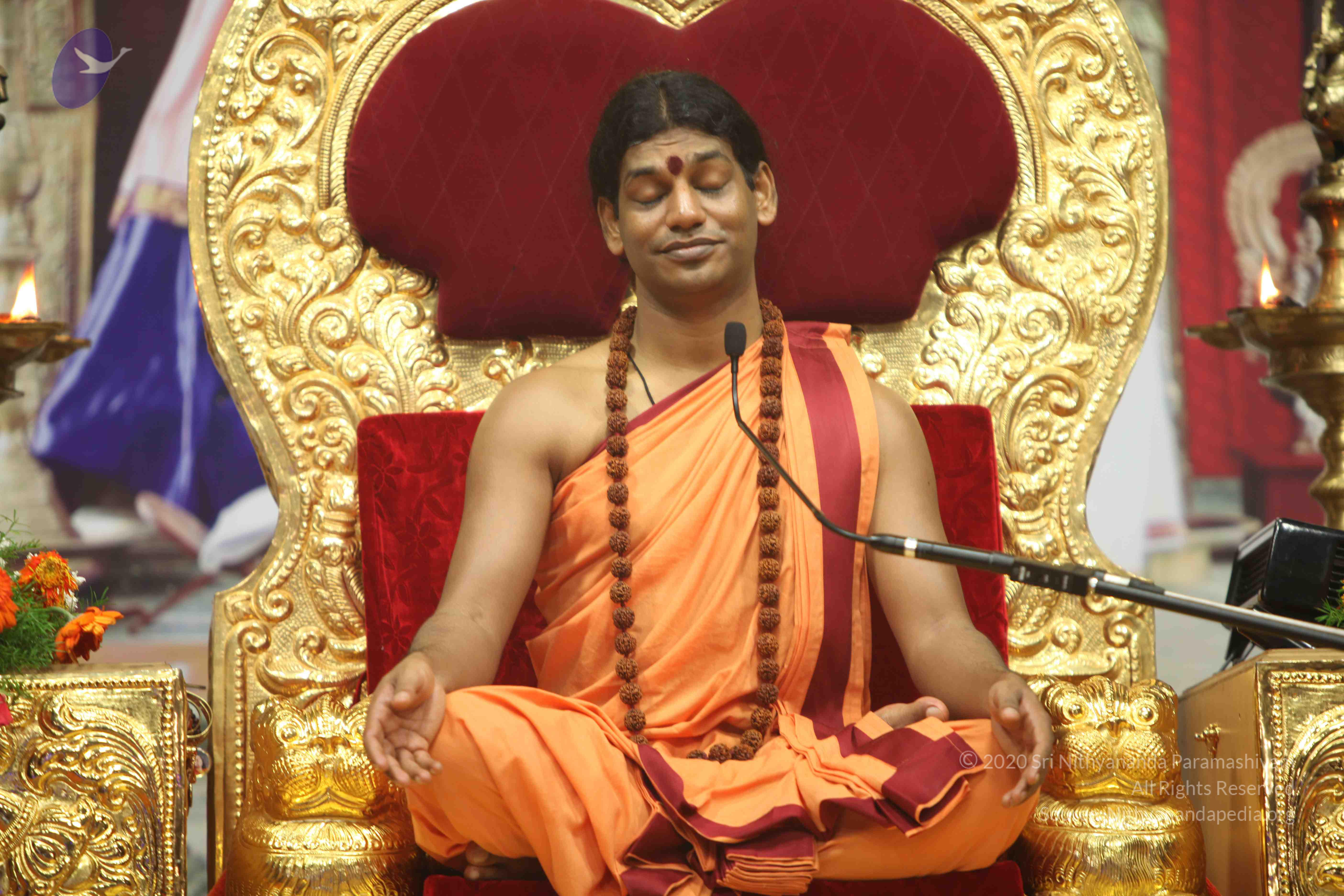 20110202_Photo_1186_IMG_3690_CMP_WM