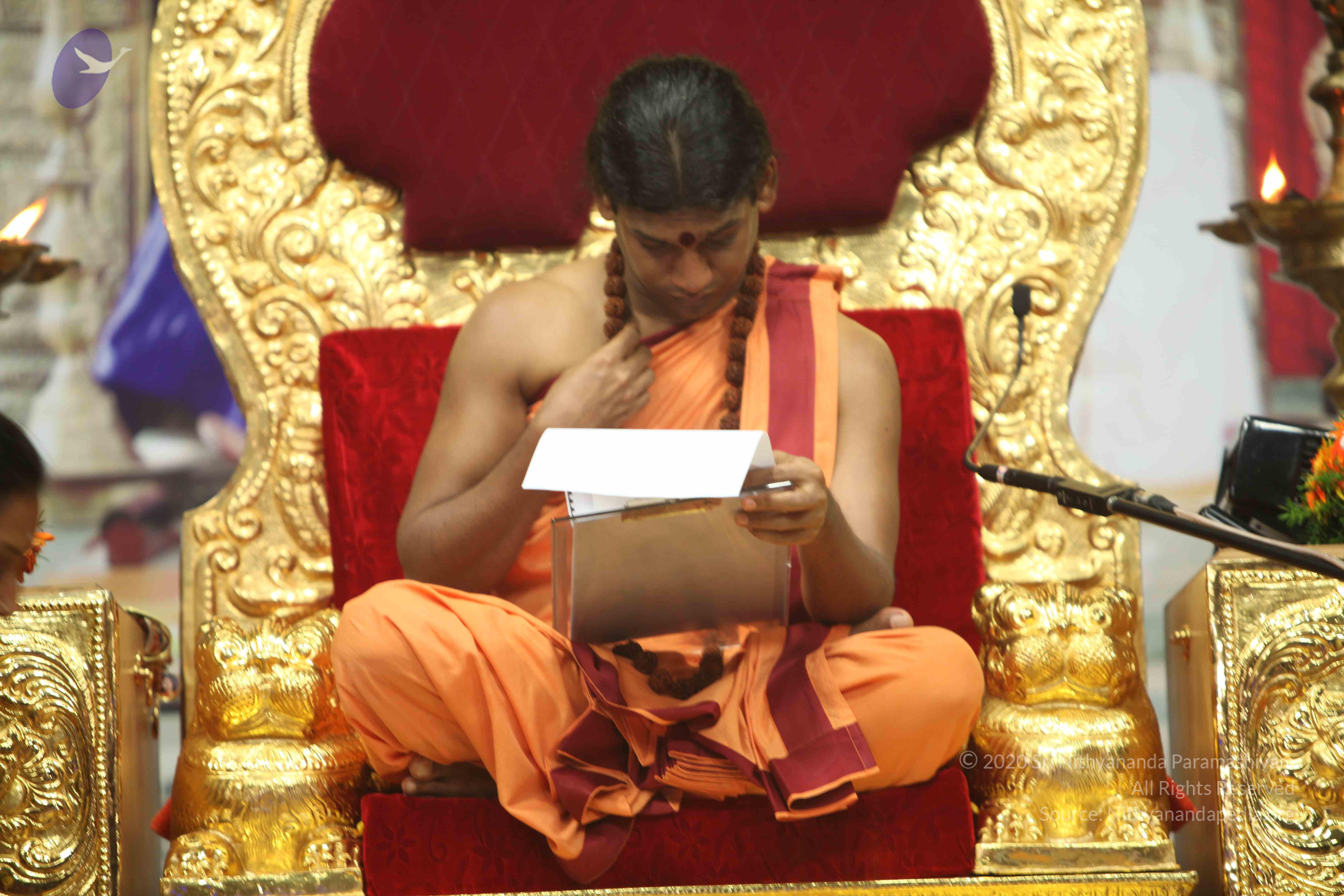 20110202_Photo_1221_IMG_3512_CMP_WM