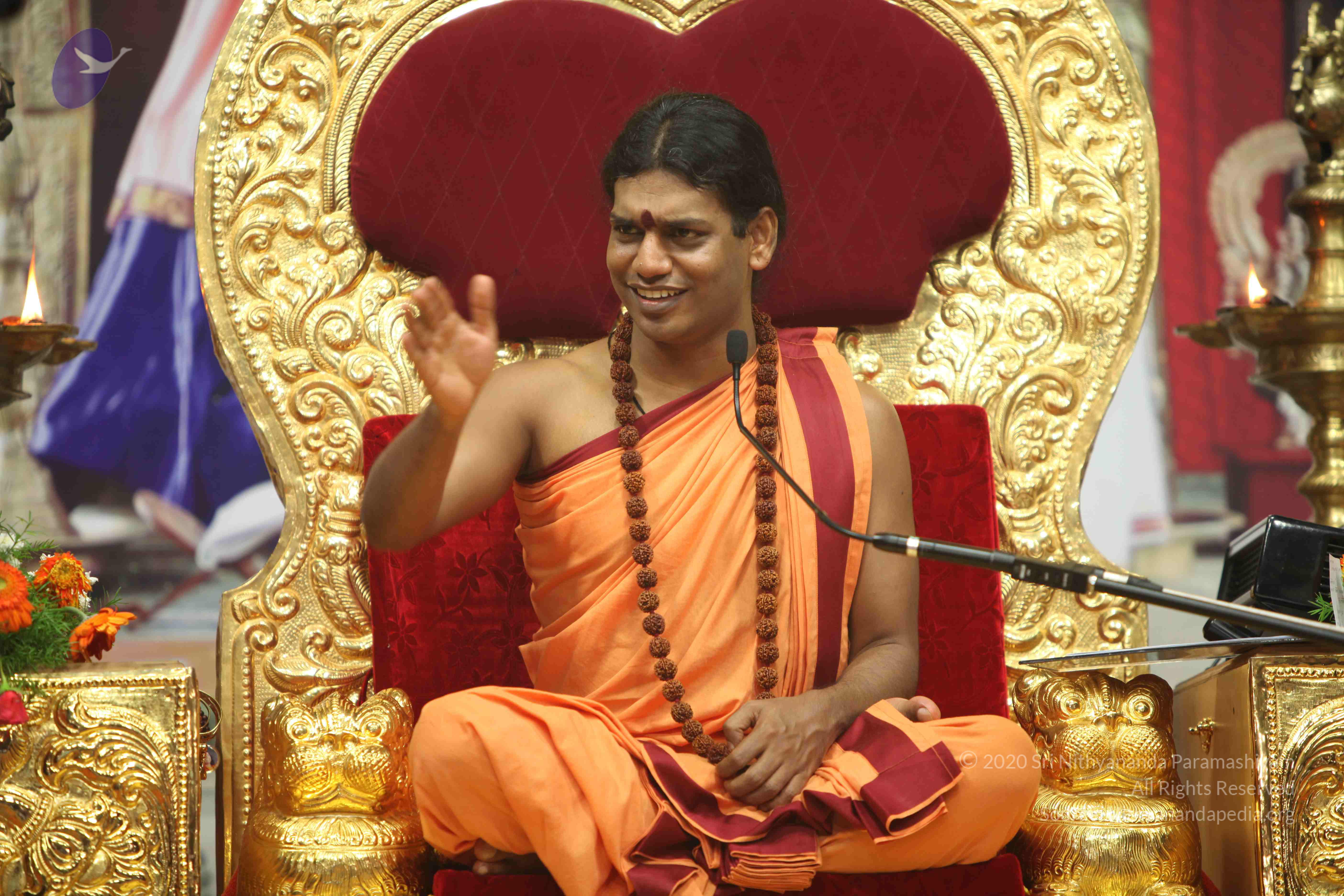 20110202_Photo_1232_IMG_3773_CMP_WM