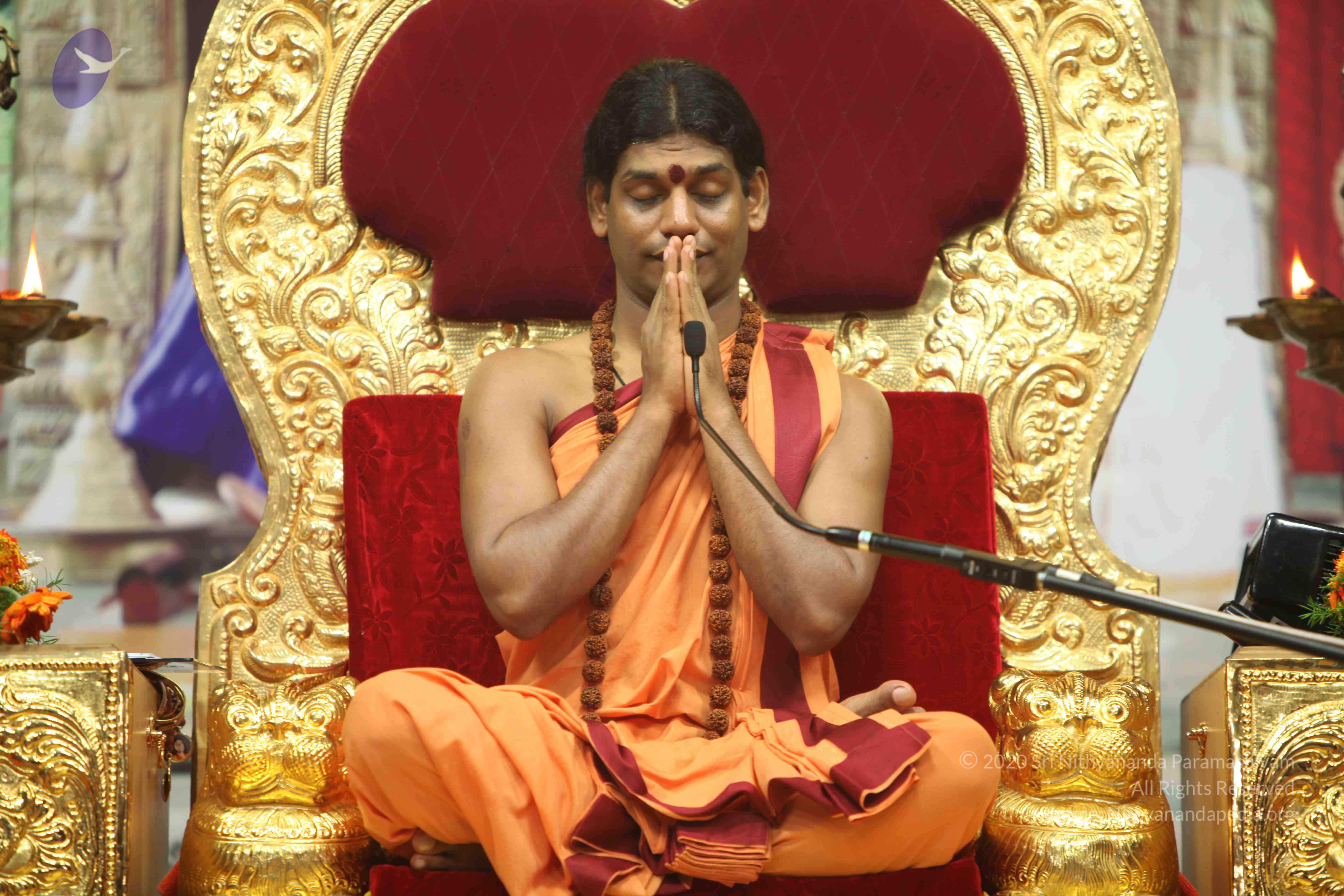 20110202_Photo_1252_IMG_3561_CMP_WM