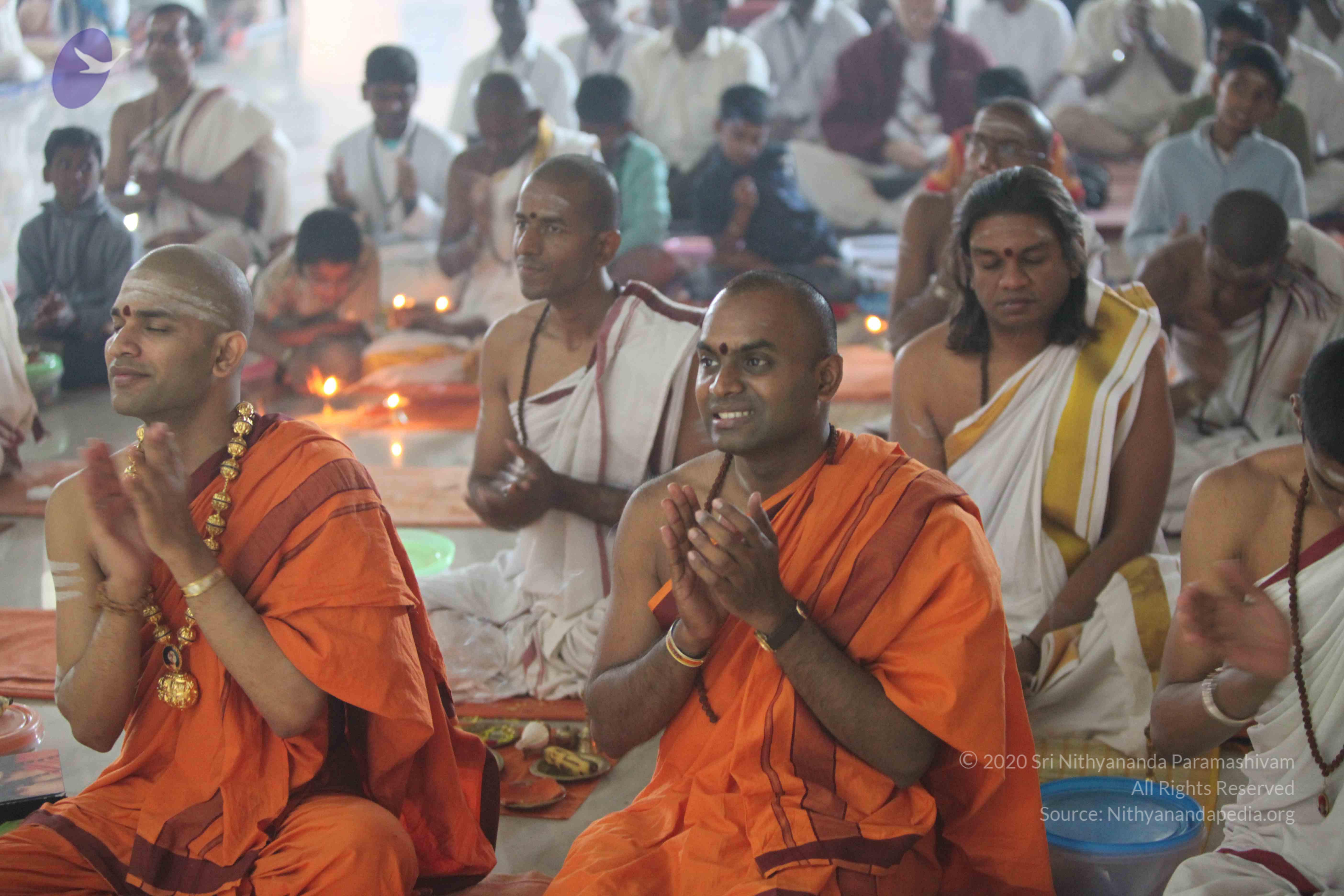 20110202_Photo_1264_IMG_3599_CMP_WM