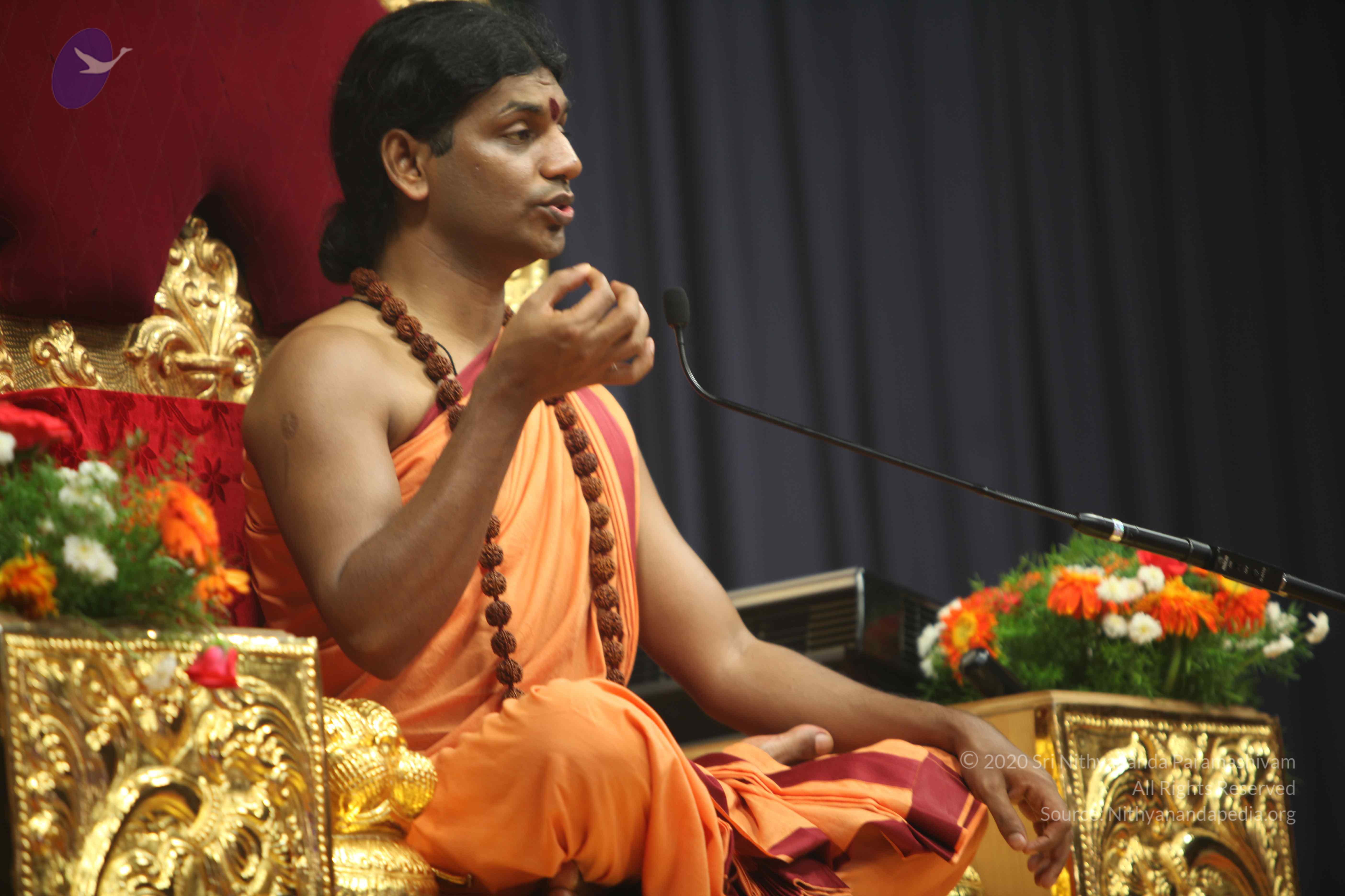 20110202_Photo_1267_IMG_3638_CMP_WM