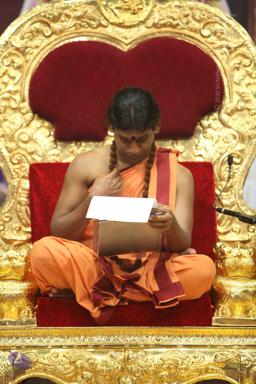 20110202_Photo_1278_IMG_3518_CMP_WM