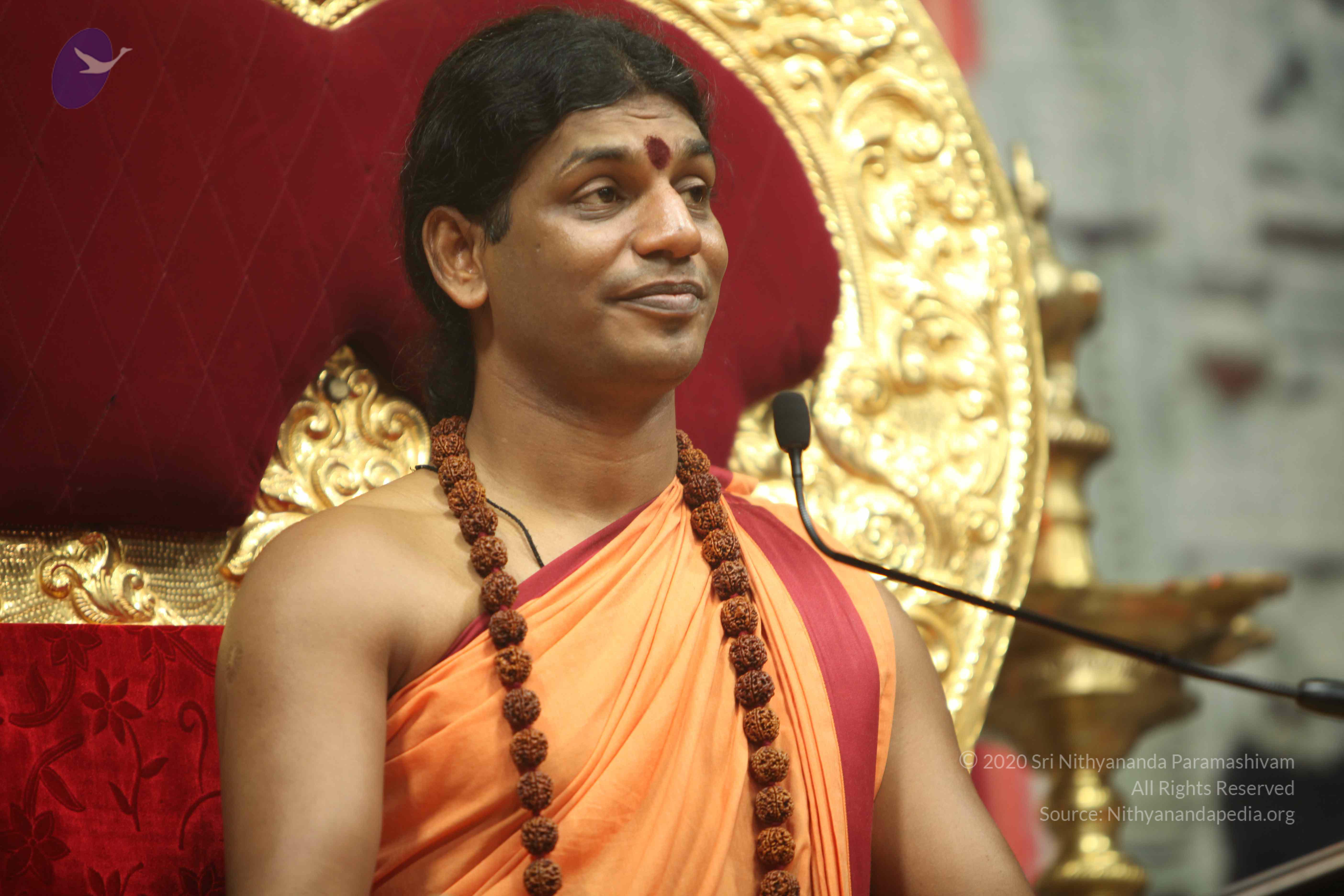 20110202_Photo_1281_IMG_3671_CMP_WM