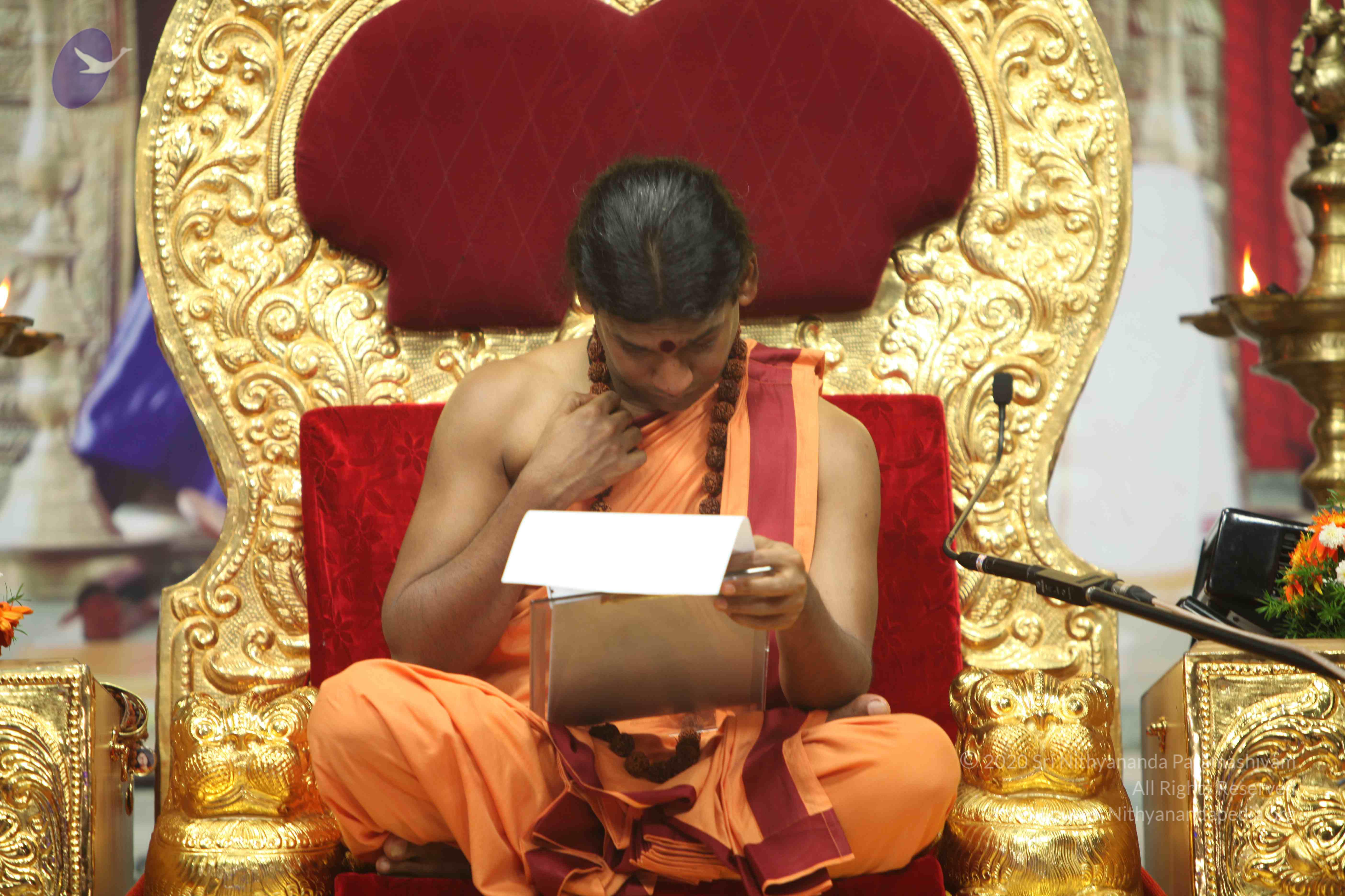 20110202_Photo_1286_IMG_3509_CMP_WM