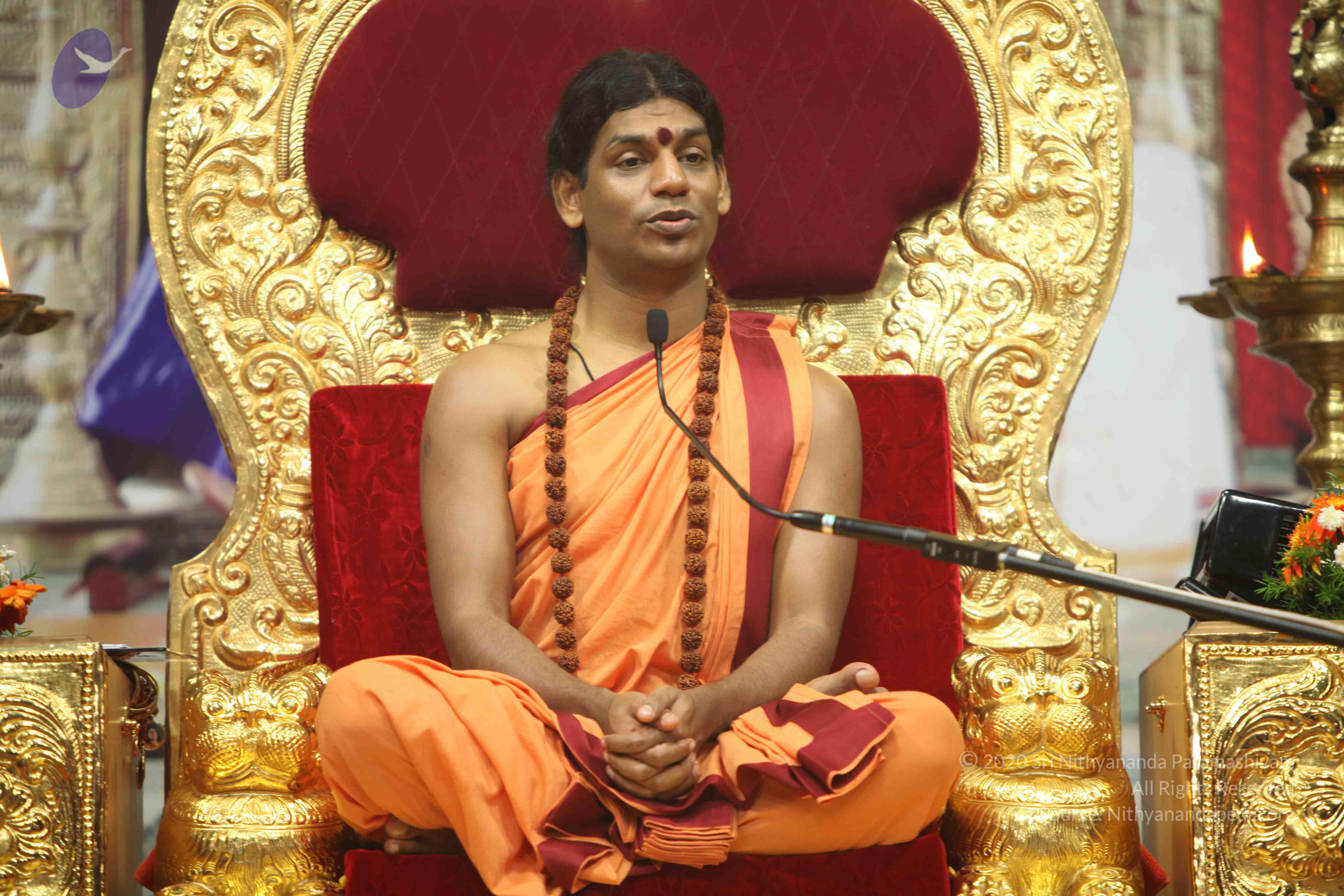 20110202_Photo_1297_IMG_3577_CMP_WM