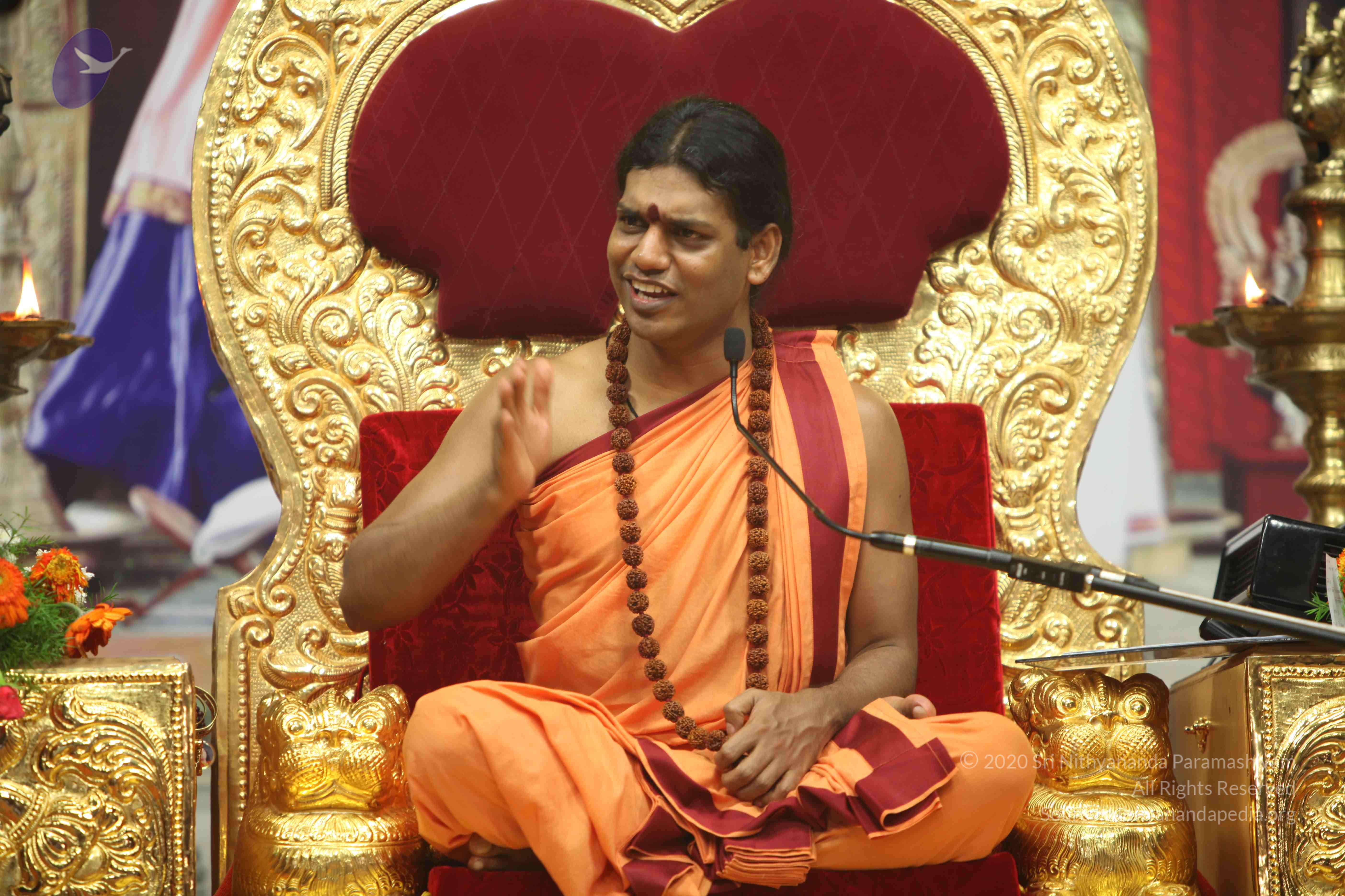 20110202_Photo_1306_IMG_3771_CMP_WM