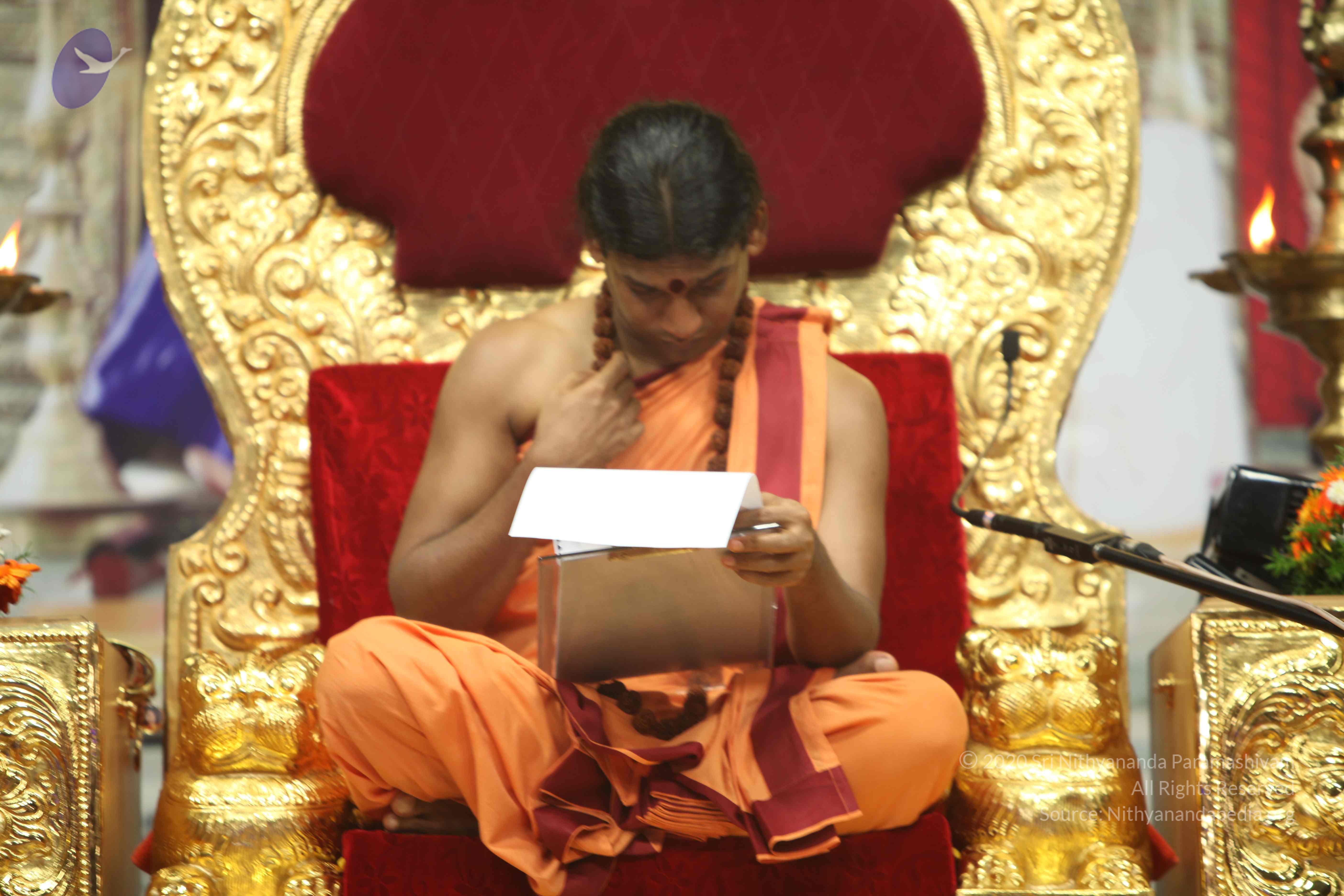 20110202_Photo_1322_IMG_3510_CMP_WM