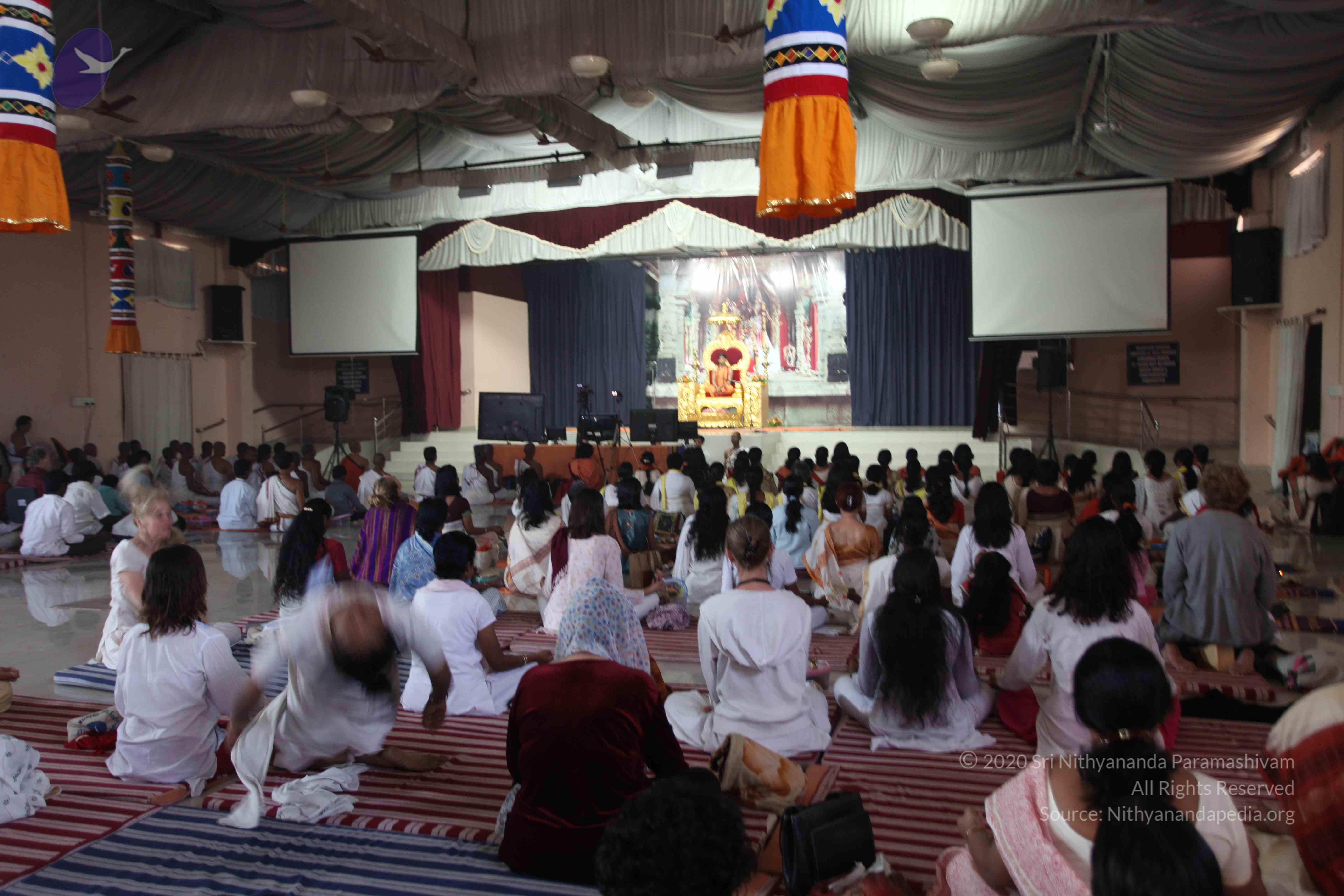 20110202_Photo_1331_IMG_3853_CMP_WM