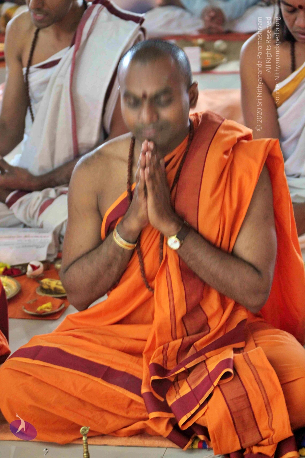 20110202_Photo_1001_IMG_3407_CMP_WM