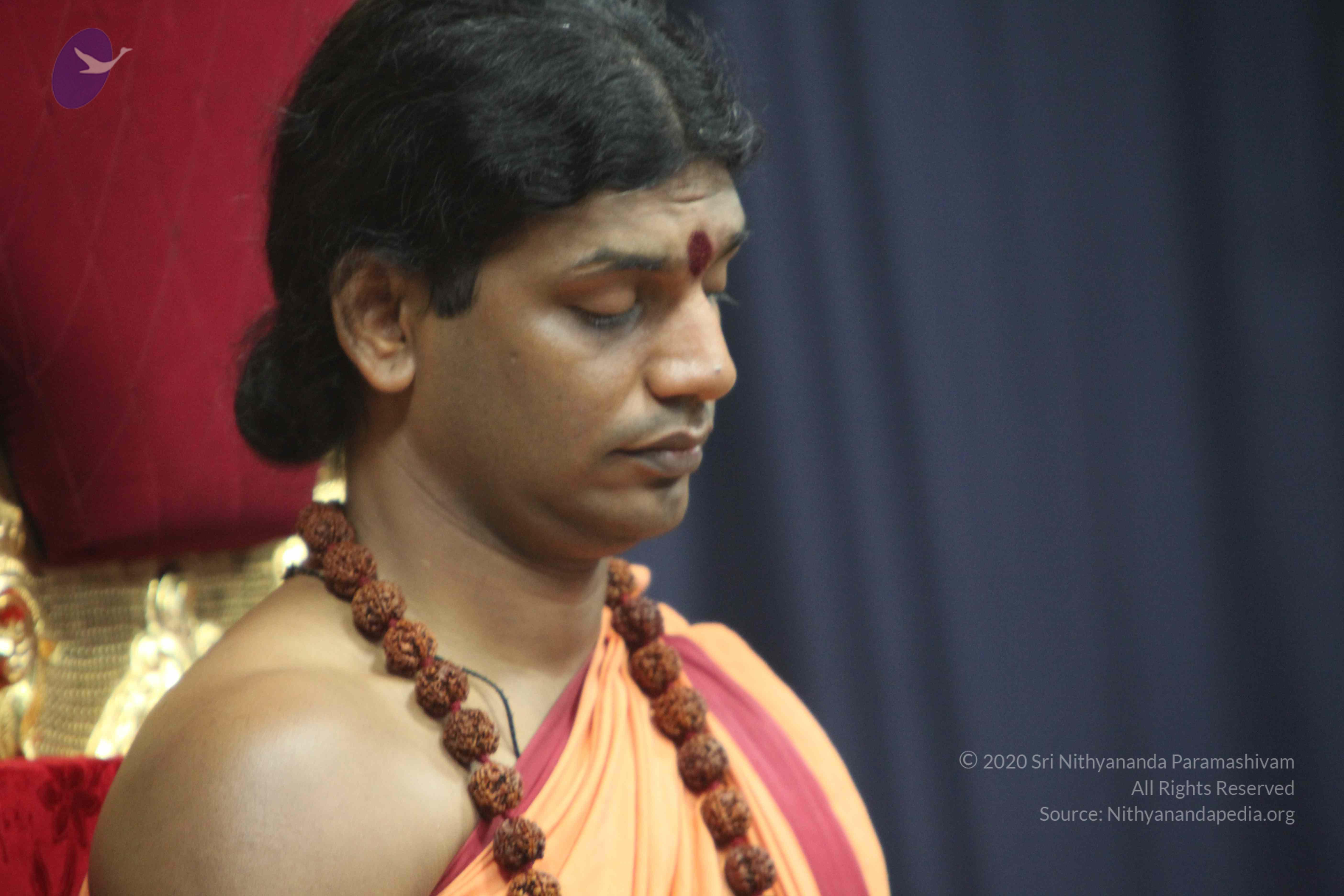 20110202_Photo_1002_IMG_3430_CMP_WM