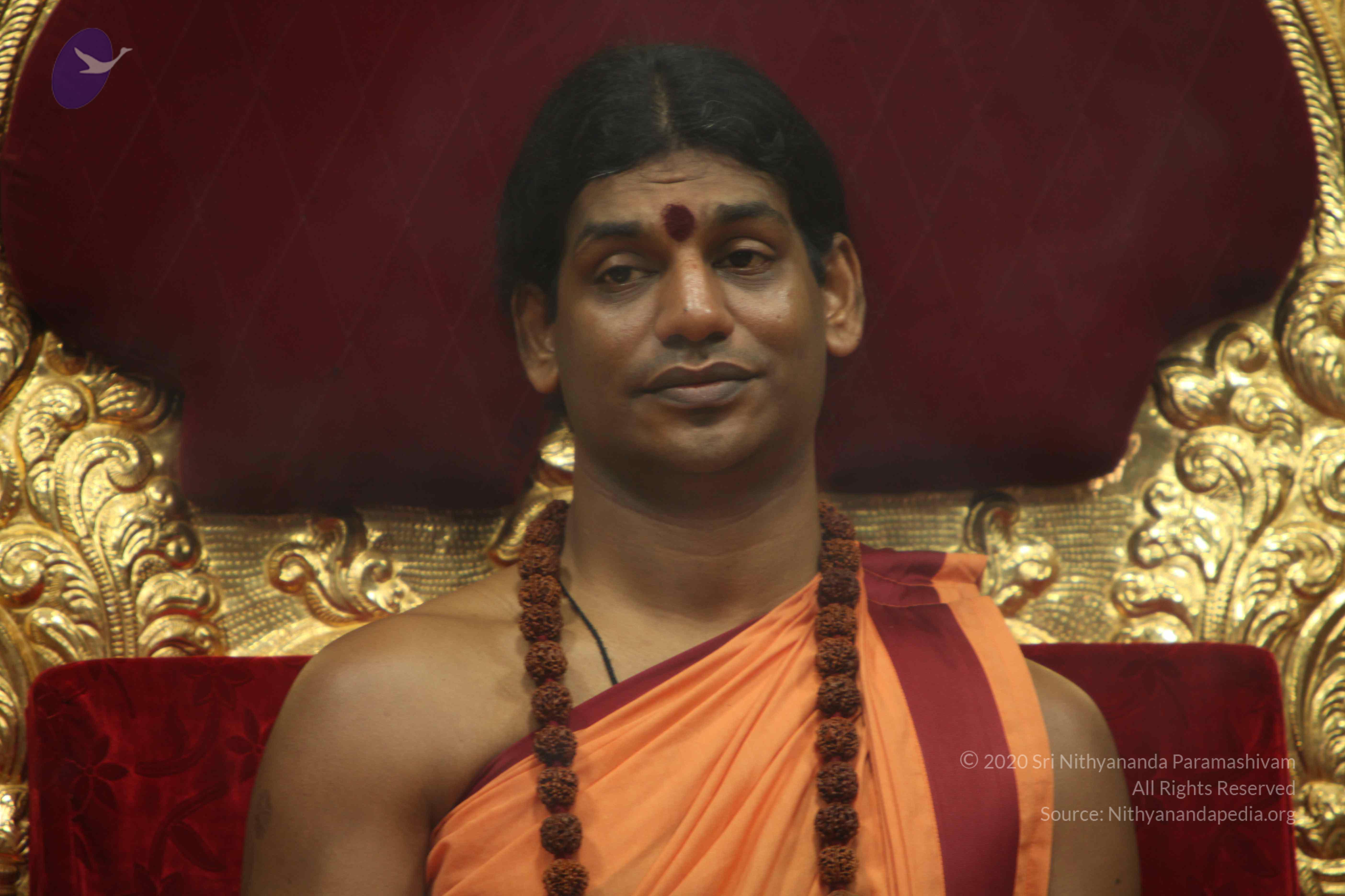 20110202_Photo_1006_IMG_3465_CMP_WM