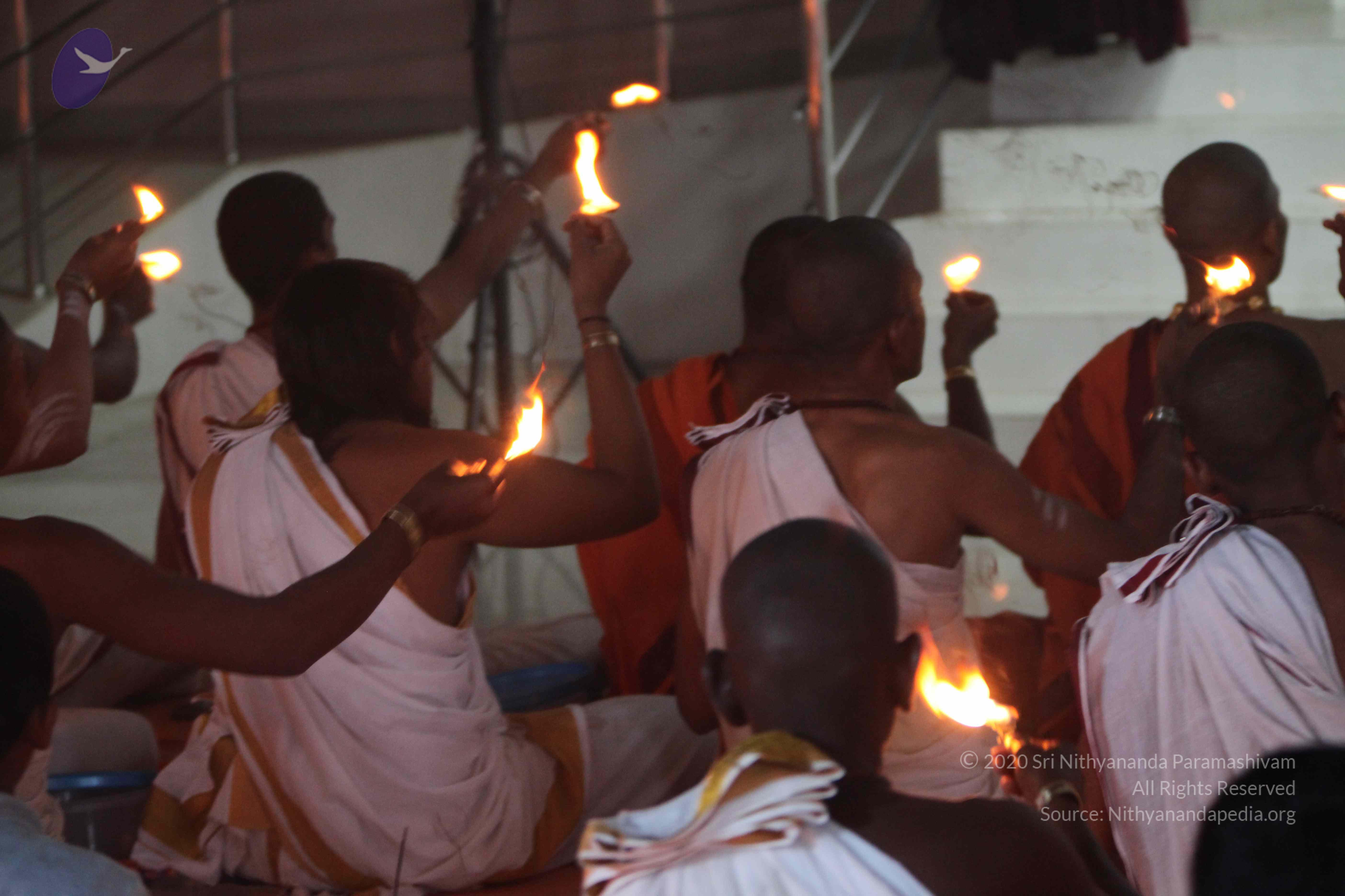 20110202_Photo_1009_IMG_3452_CMP_WM