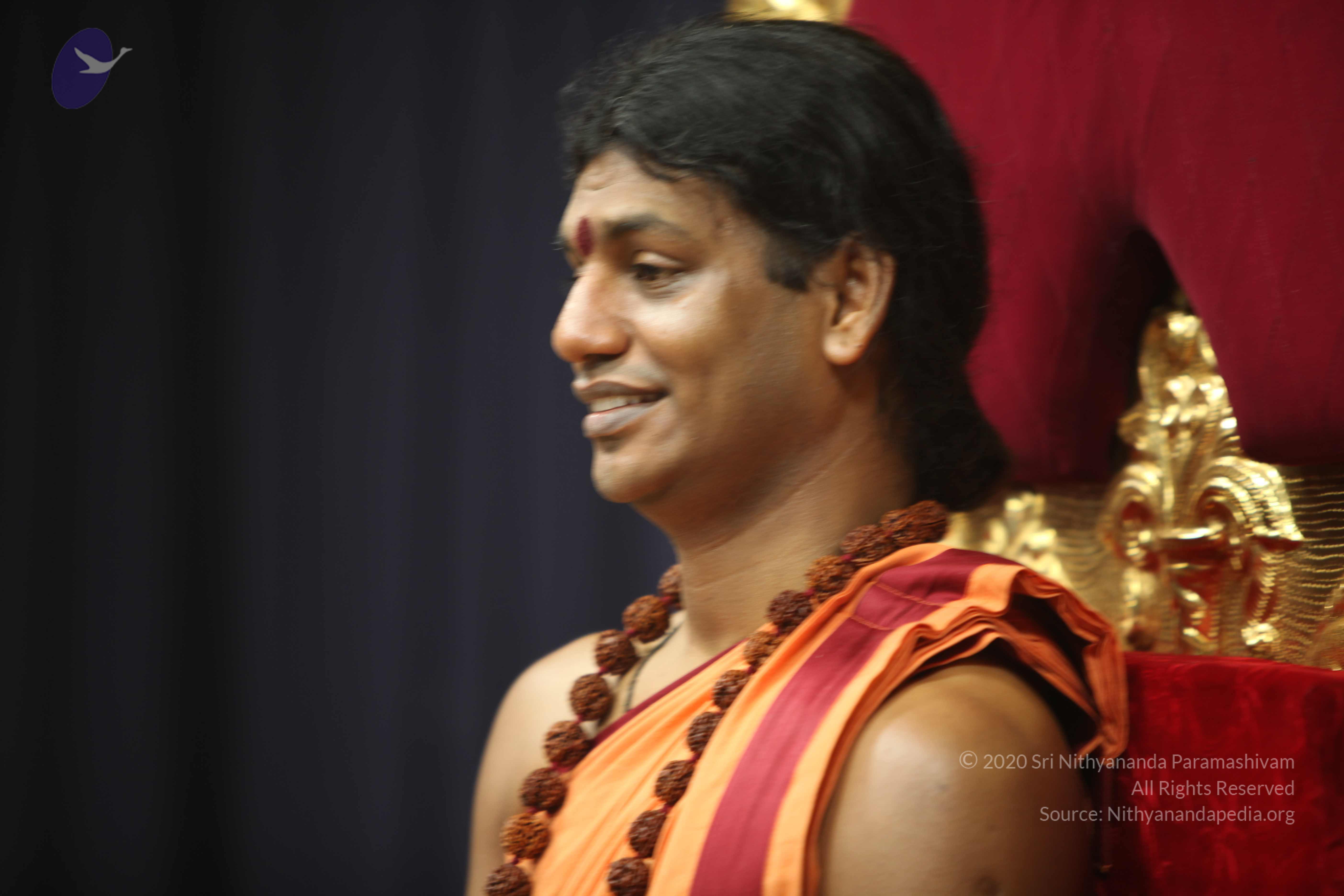 20110202_Photo_1015_IMG_3292_CMP_WM