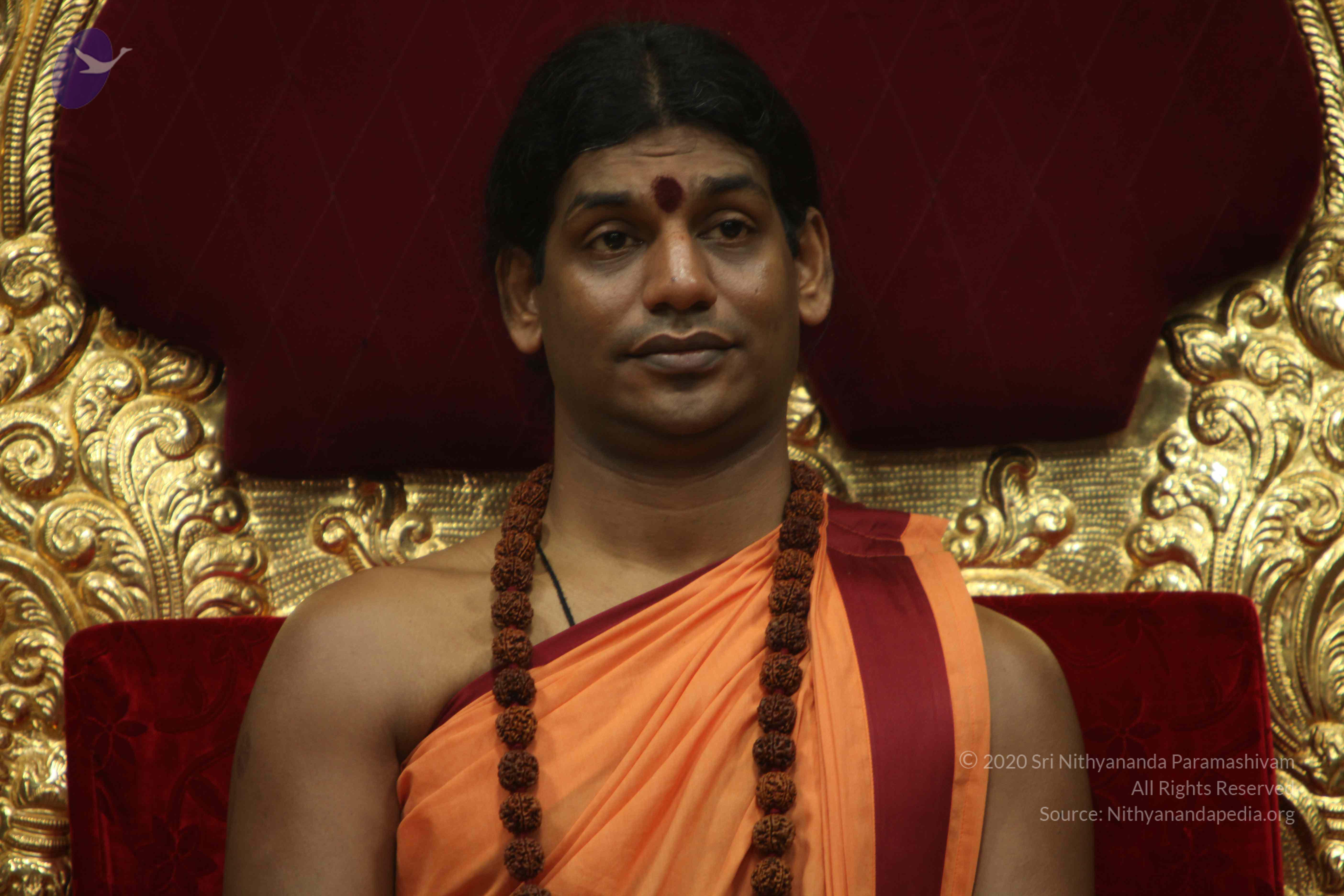 20110202_Photo_1017_IMG_3397_CMP_WM