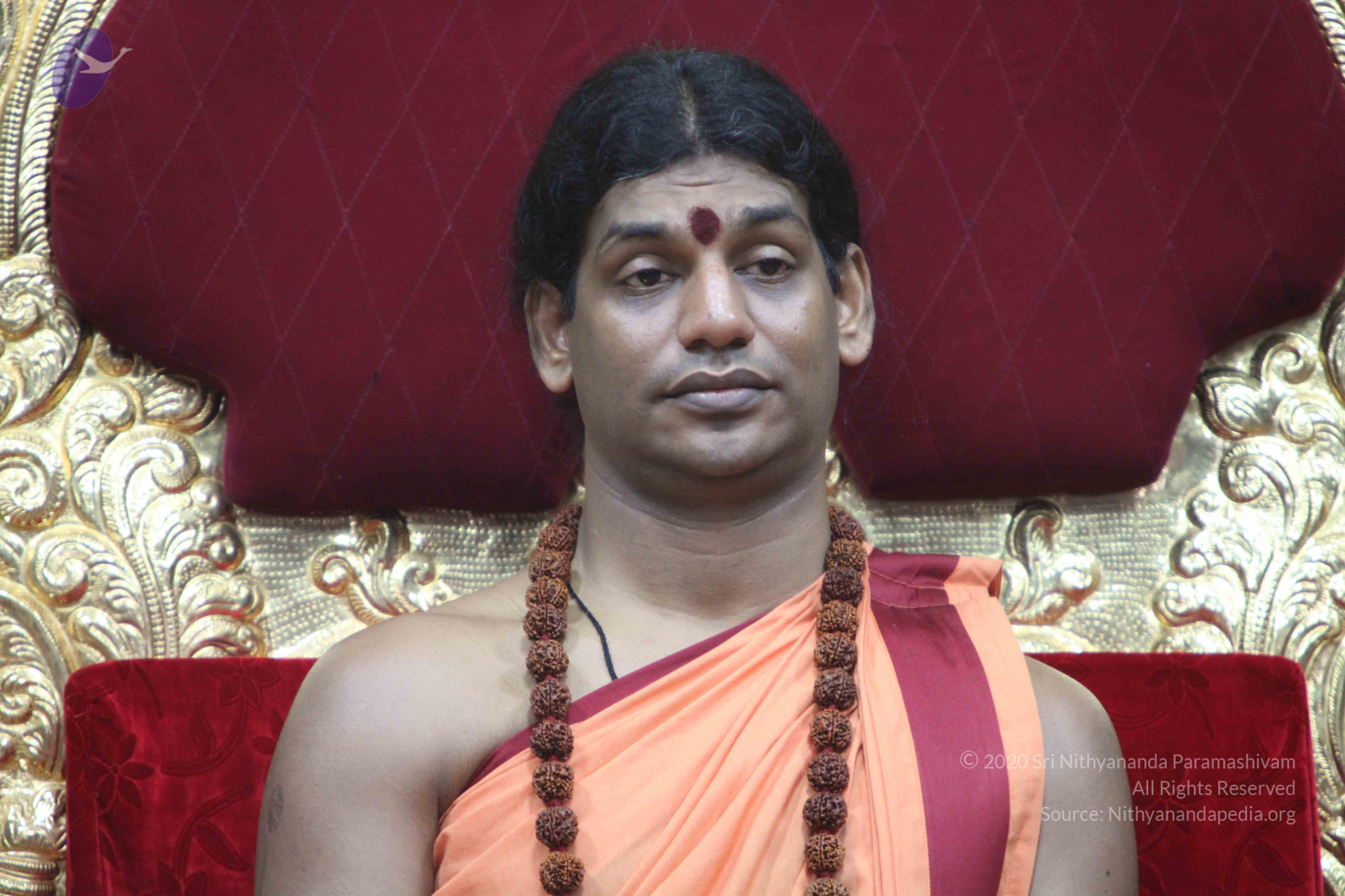 20110202_Photo_1022_IMG_3443_CMP_WM