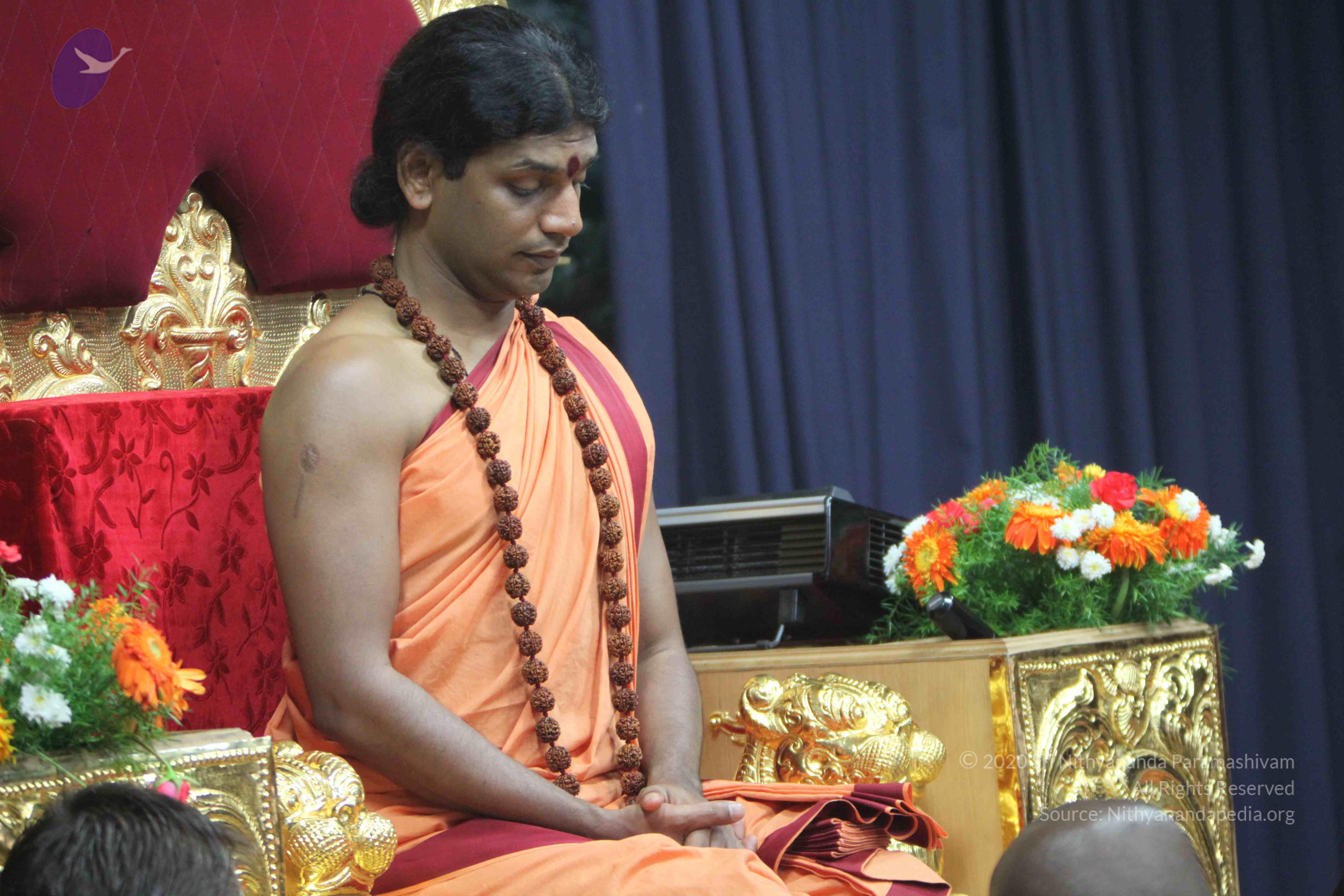 20110202_Photo_1031_IMG_3416_CMP_WM