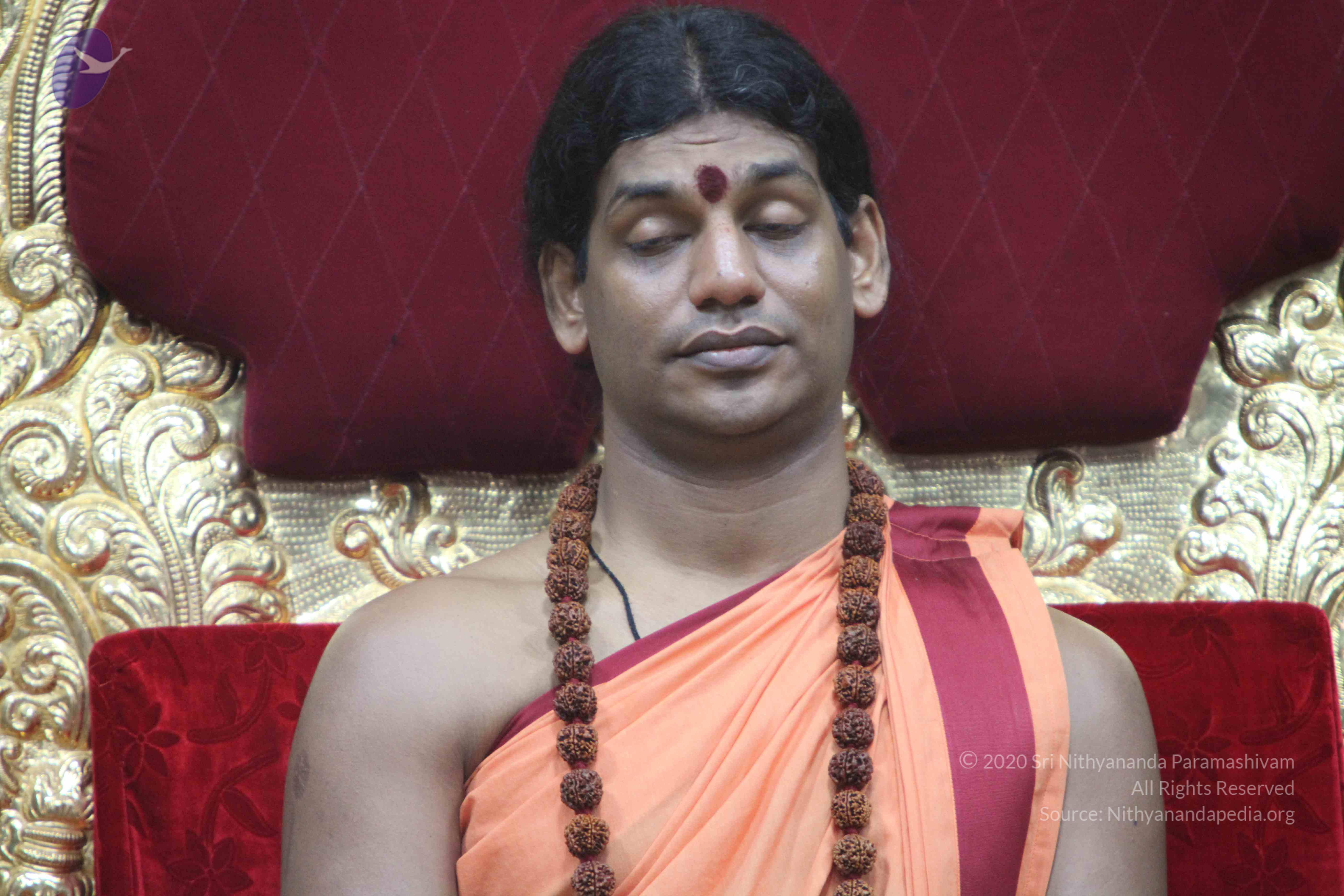 20110202_Photo_1034_IMG_3438_CMP_WM