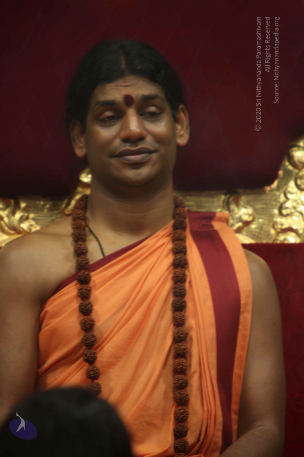 20110202_Photo_1038_IMG_3471_CMP_WM