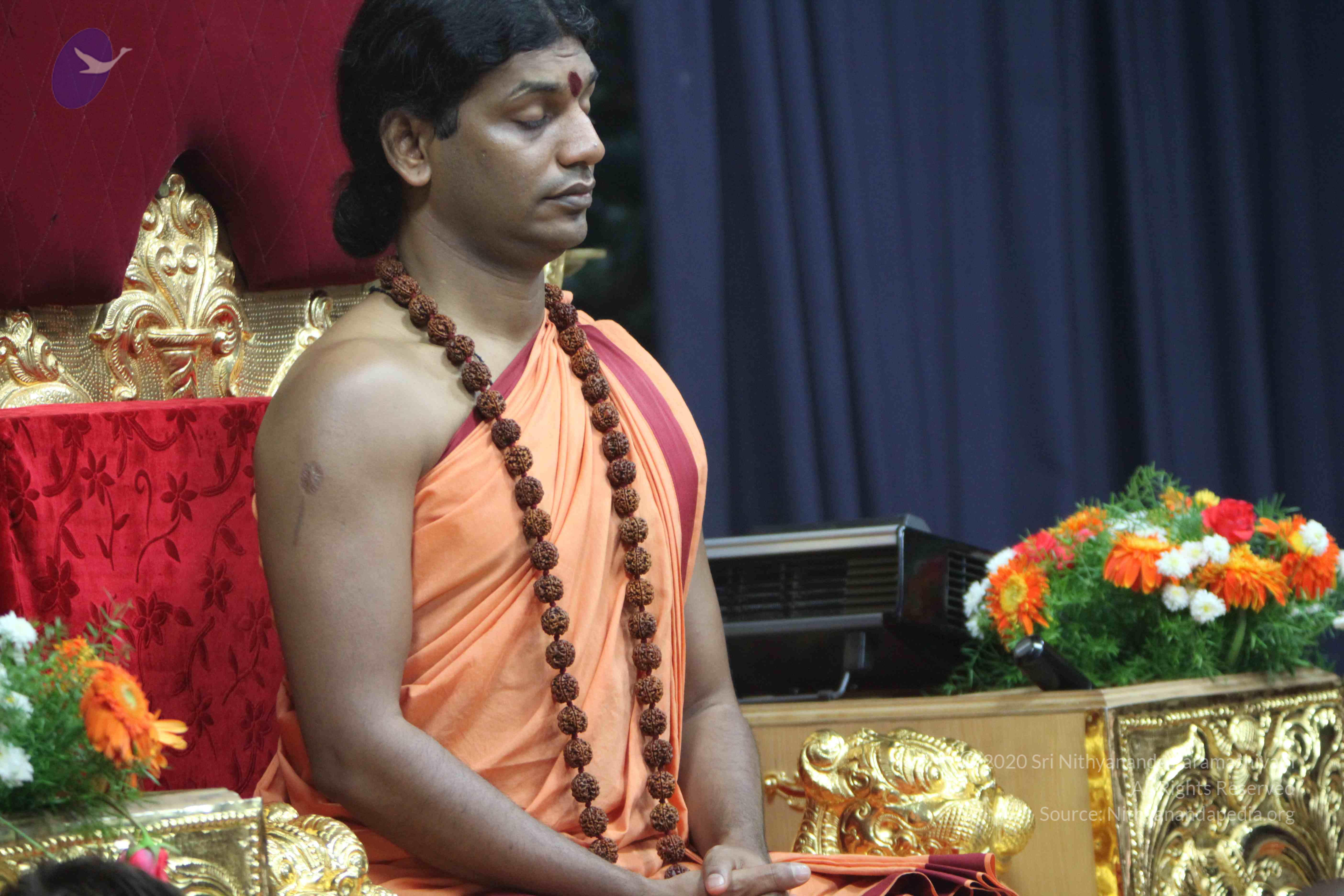 20110202_Photo_1043_IMG_3413_CMP_WM