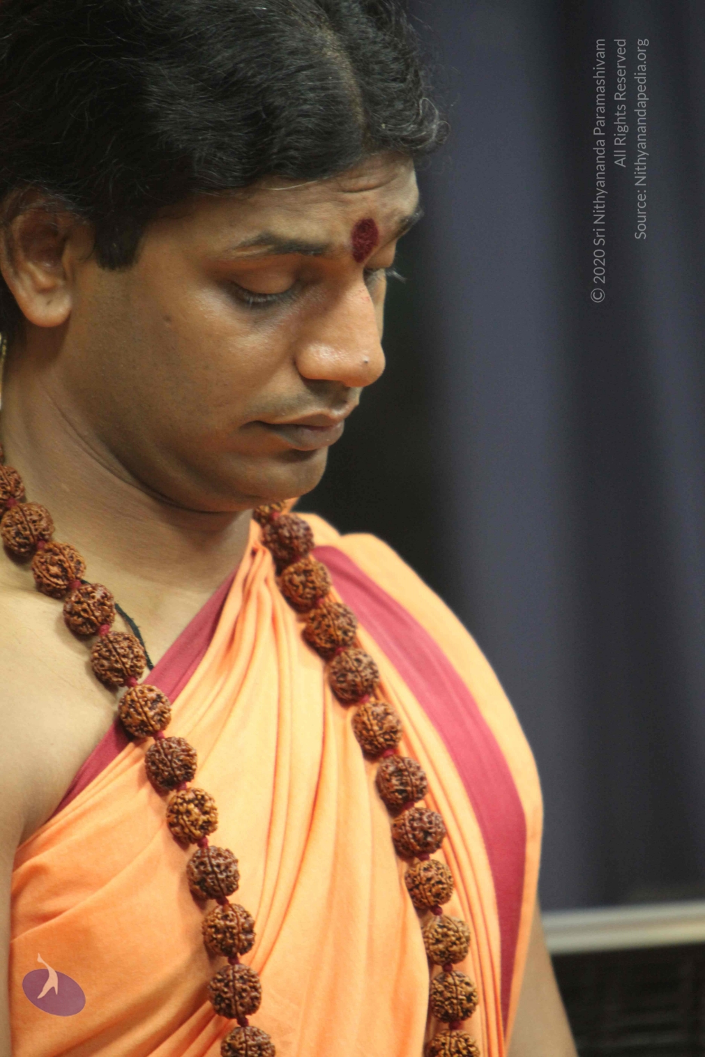 20110202_Photo_1044_IMG_3424_CMP_WM