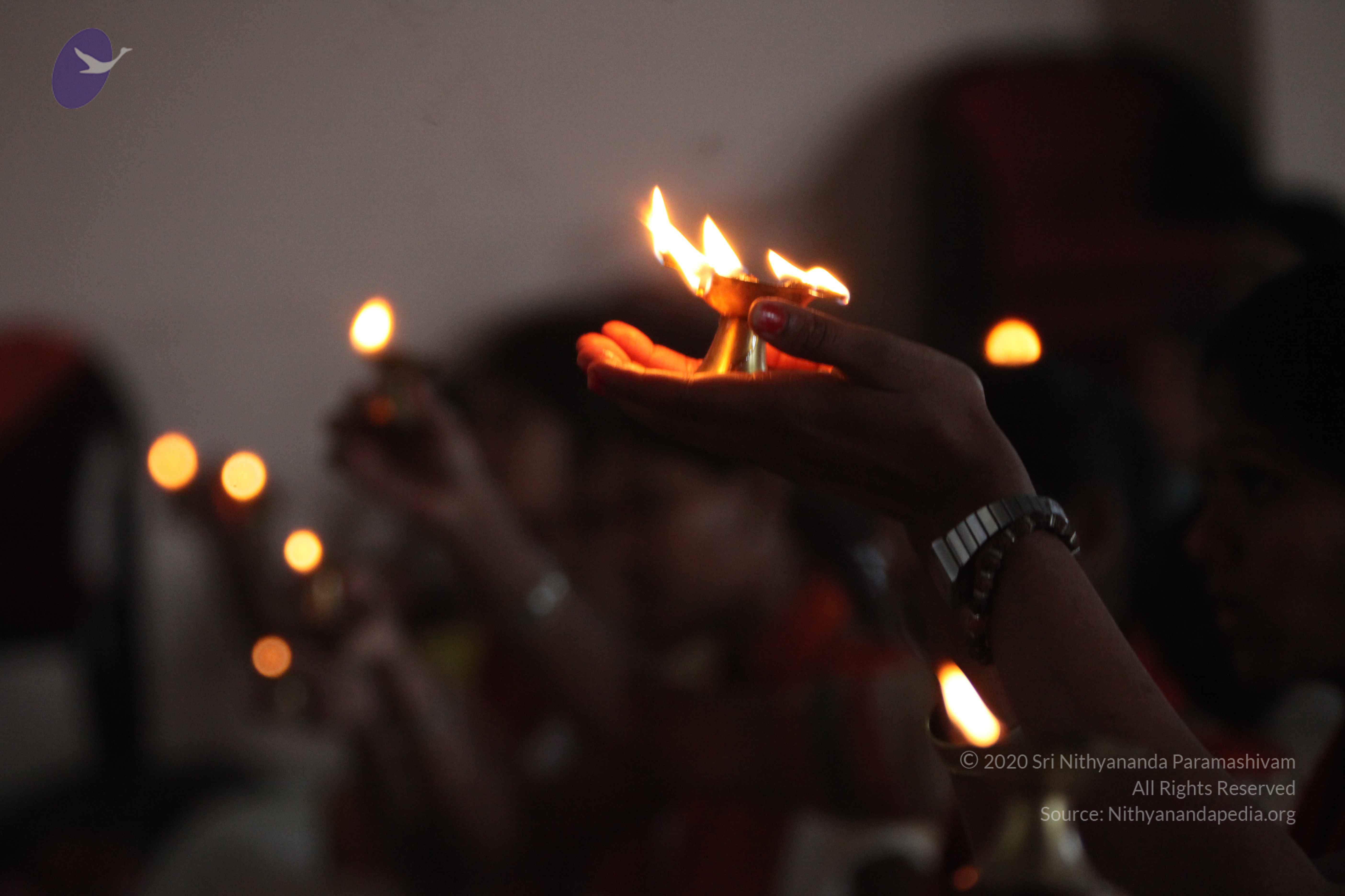 20110202_Photo_1051_IMG_3435_CMP_WM