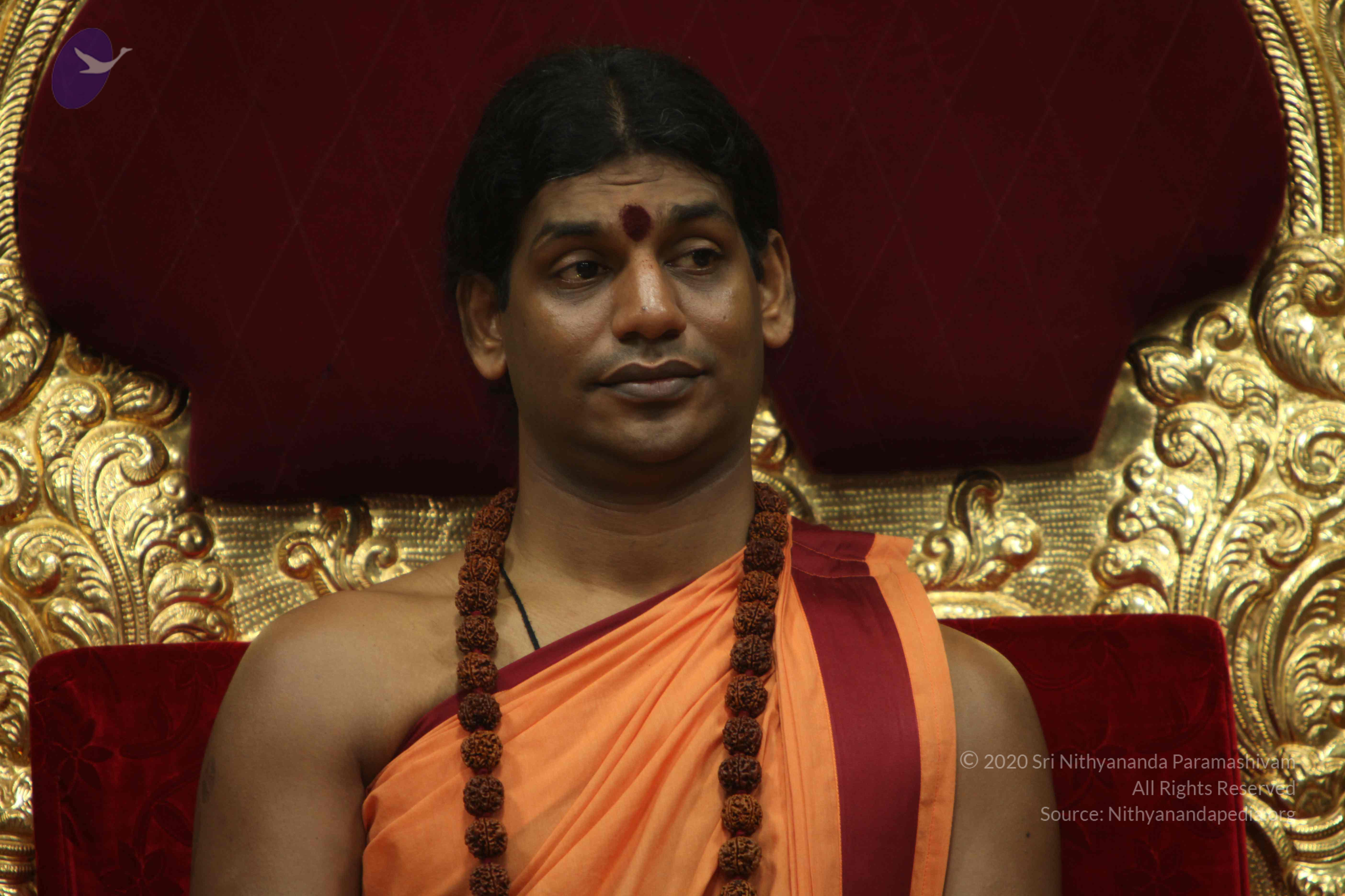 20110202_Photo_1054_IMG_3402_CMP_WM